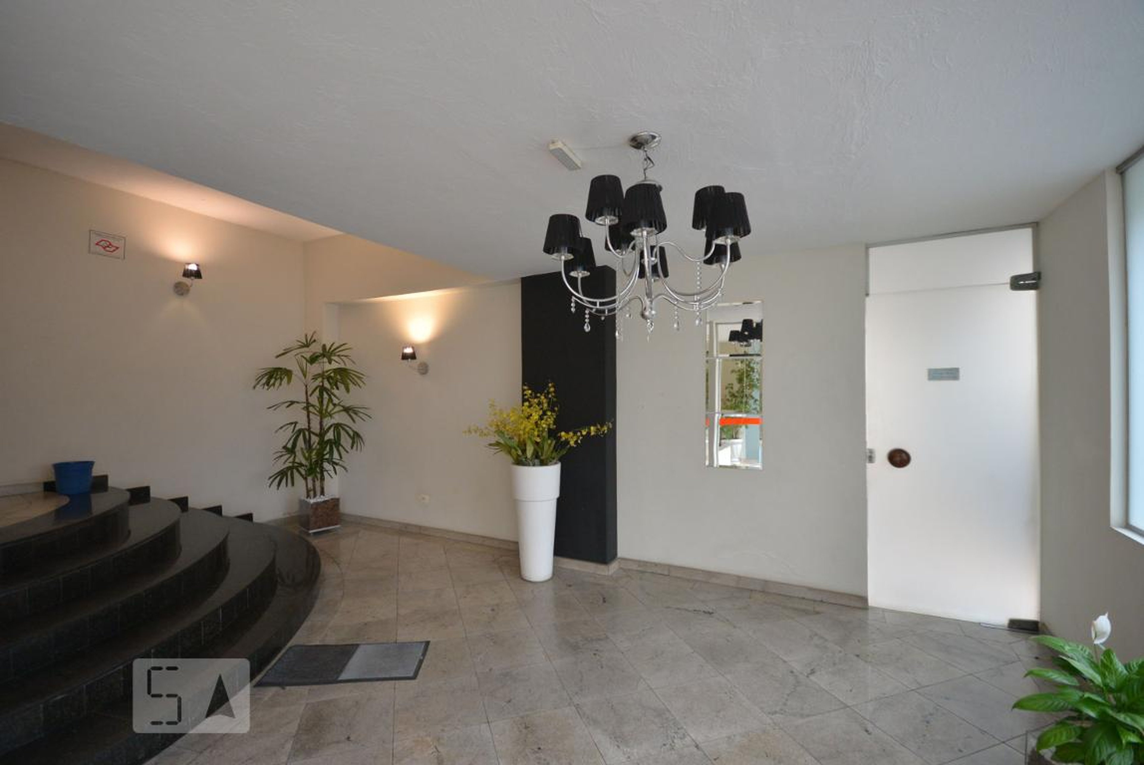Hall - Santa Cruz