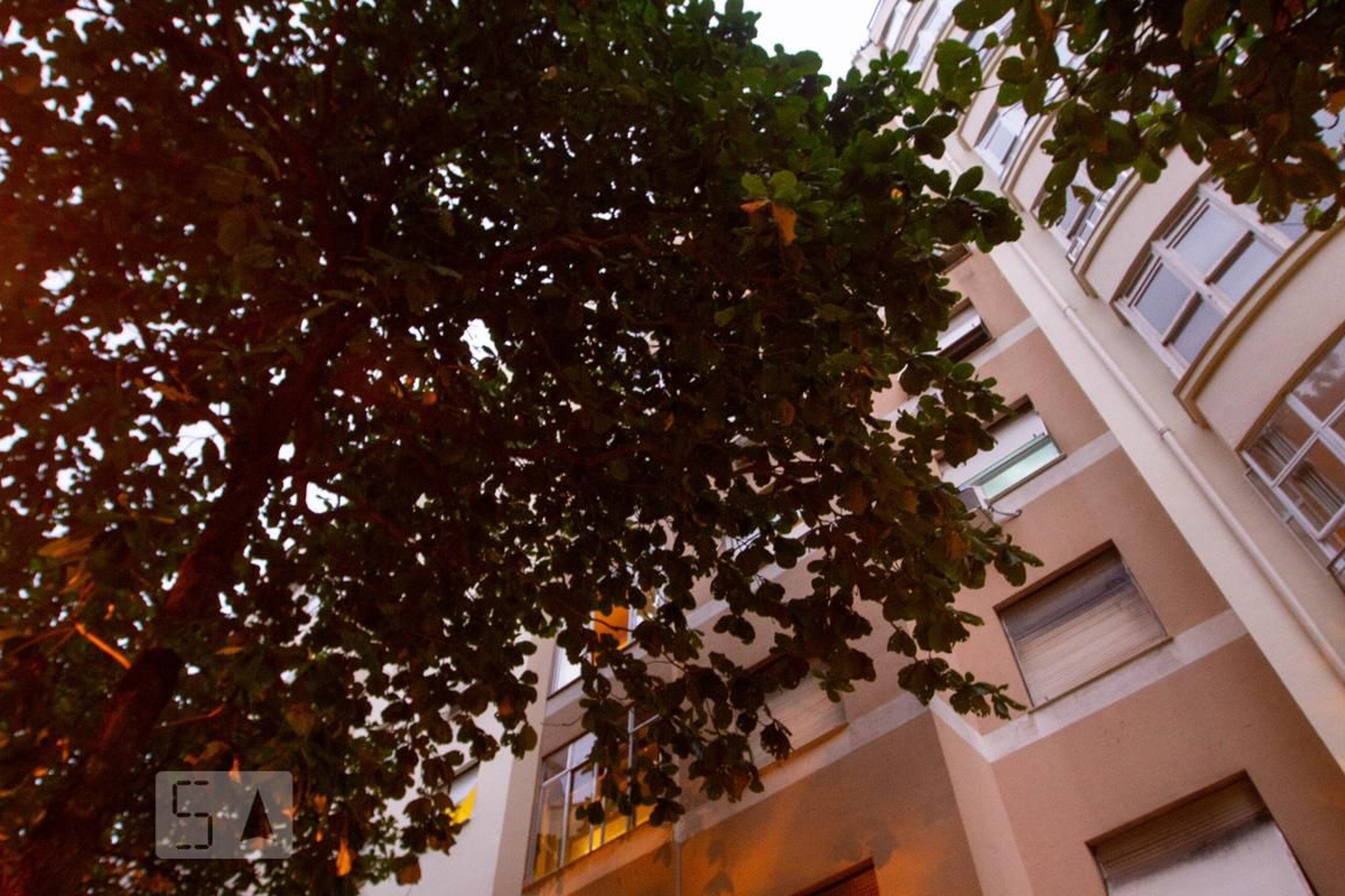 Fachada do Prédio Condomínio em Rua Gomes Carneiro, 56