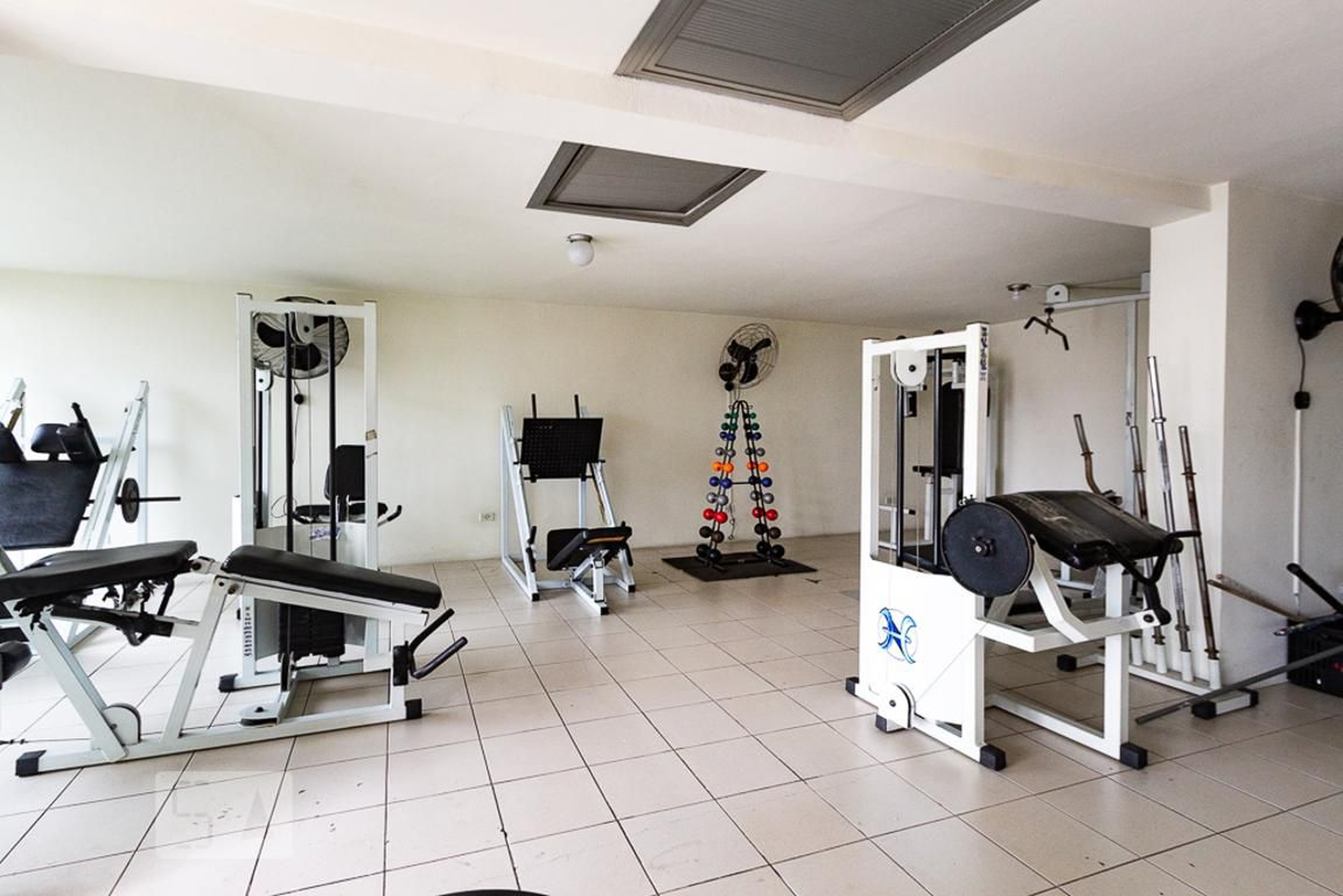 Academia - Rachel  Andrea  Paula