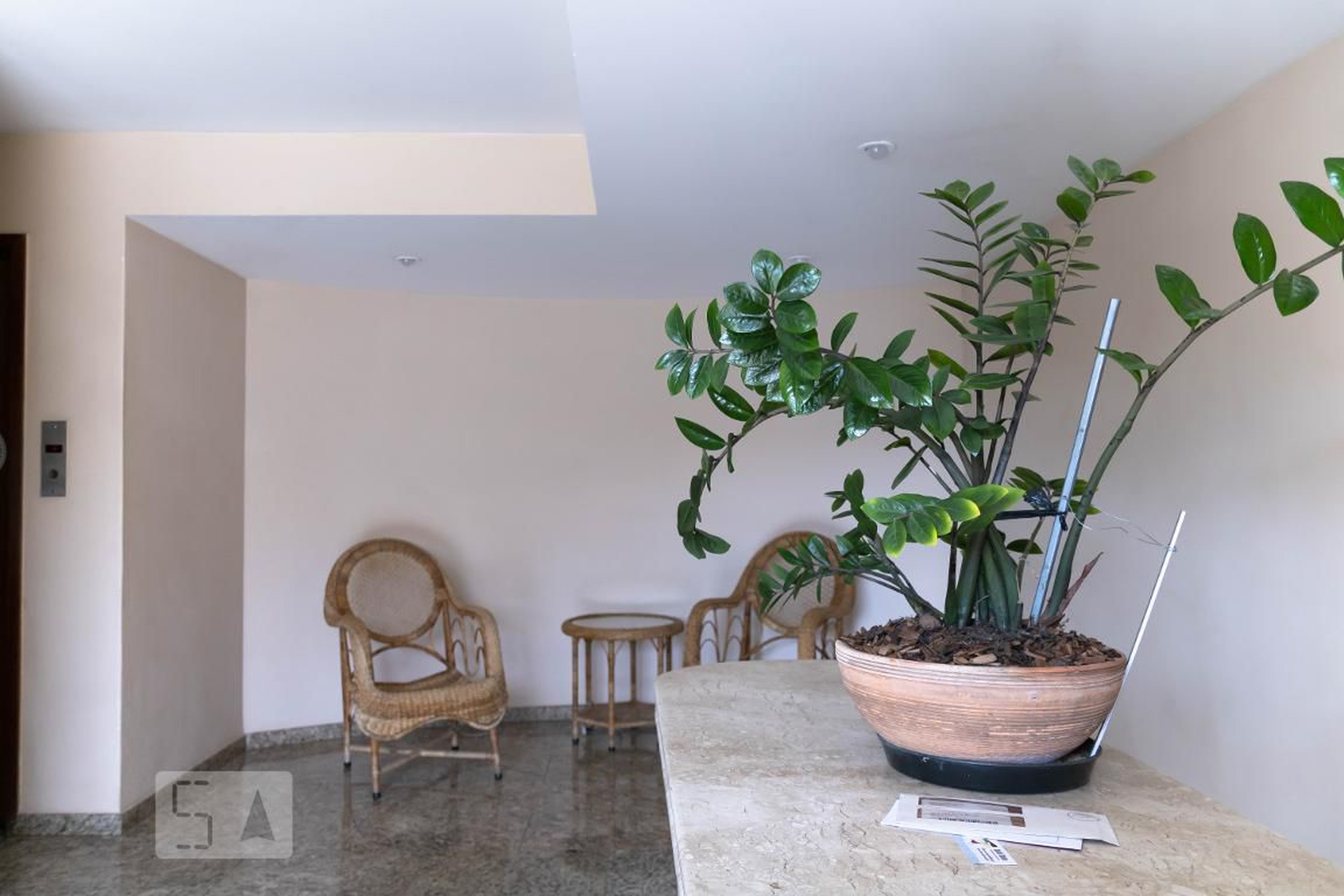 Hall de Entrada - Canoeira