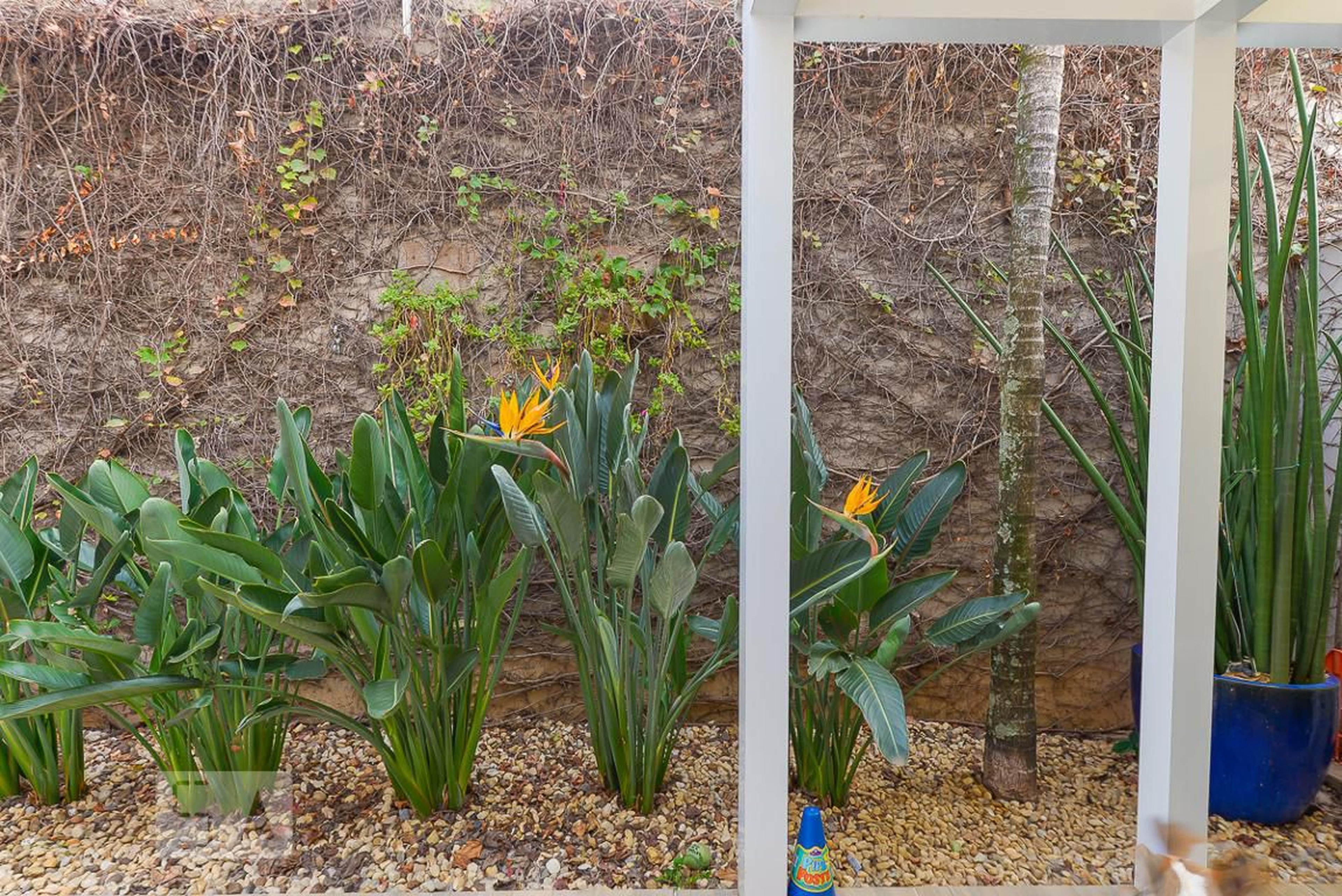 Area Externa - Residencial Outeiro Ipes