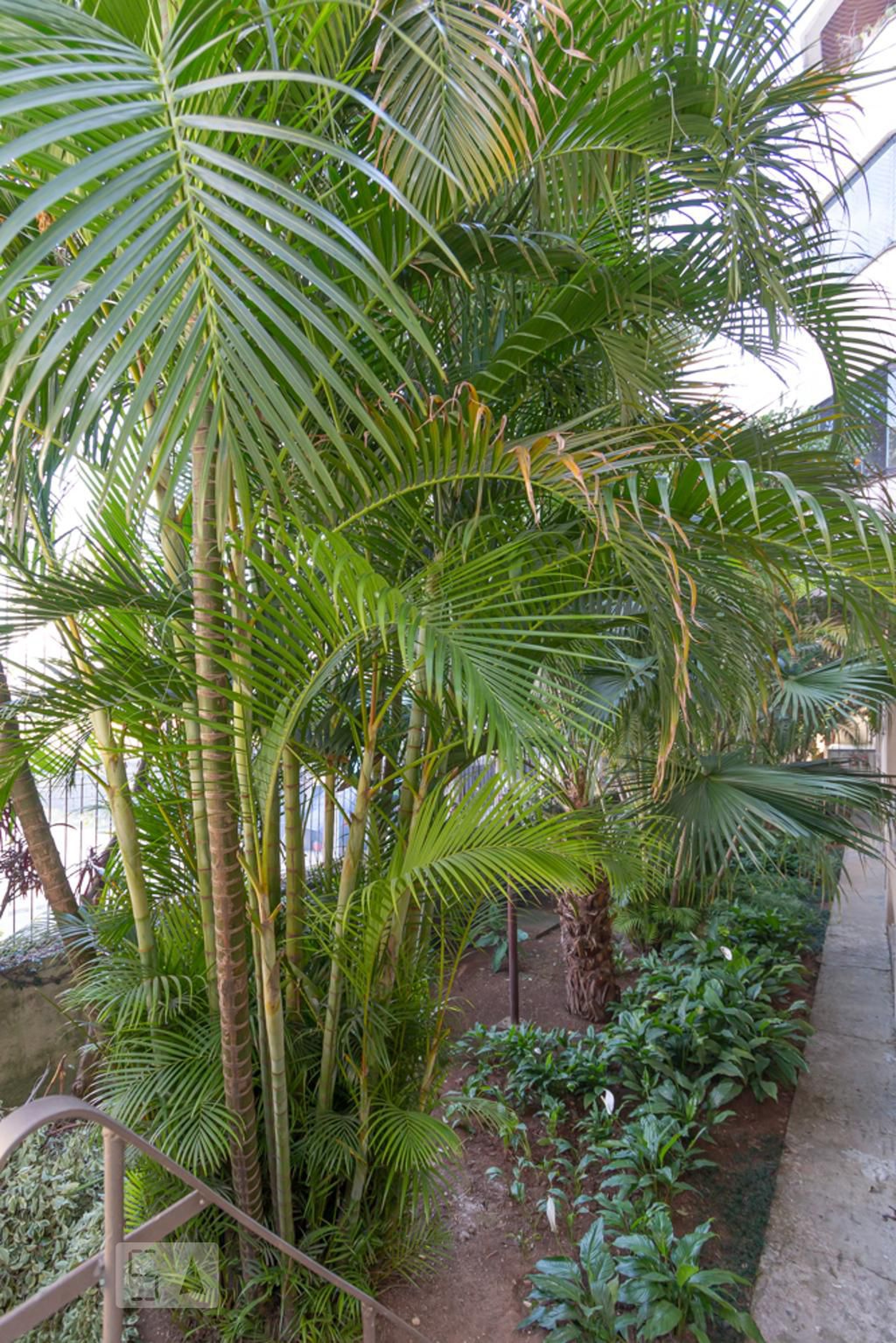 Espaço Pet - Palais Delysees