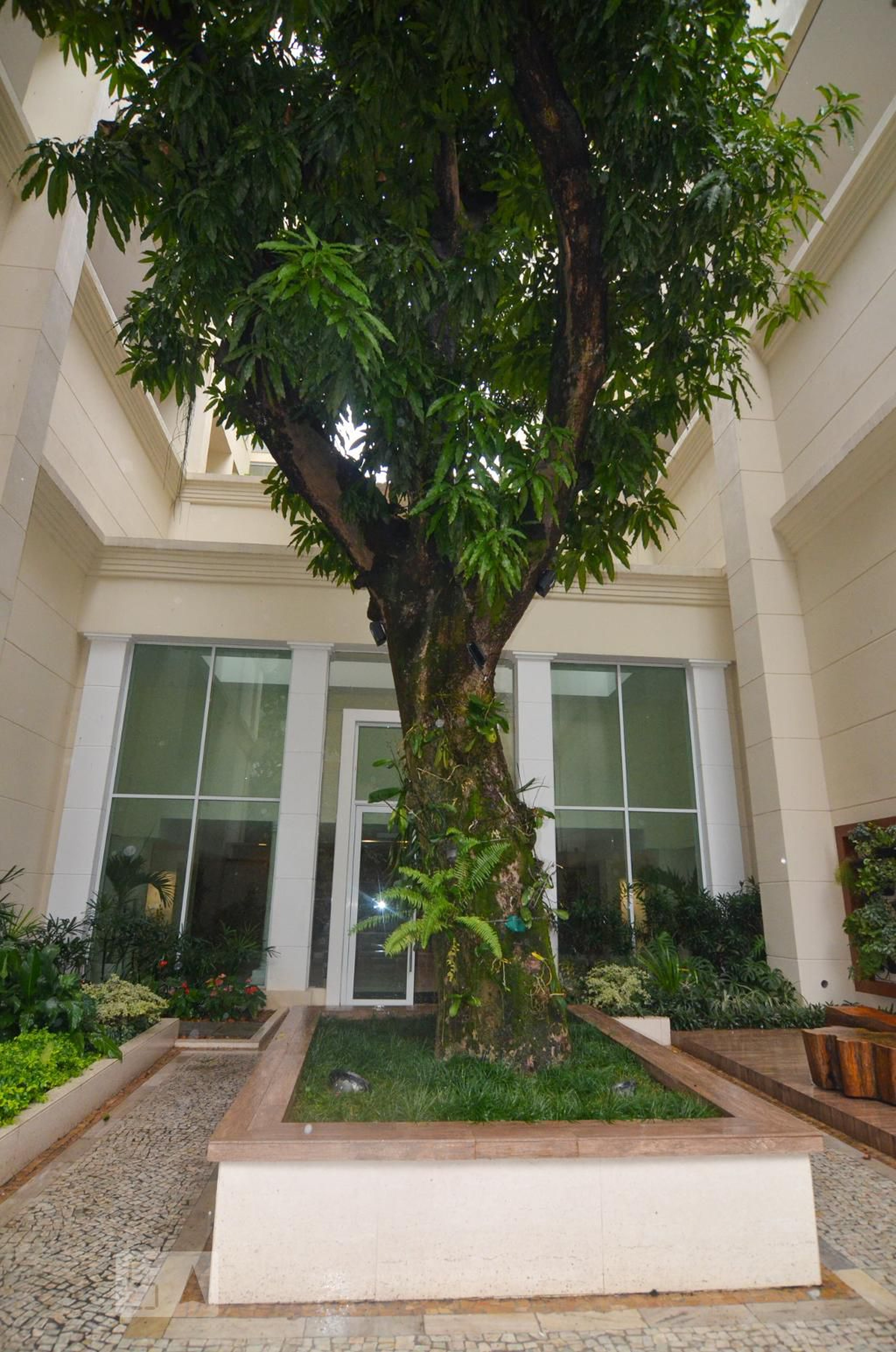 Entrada - Grand Life