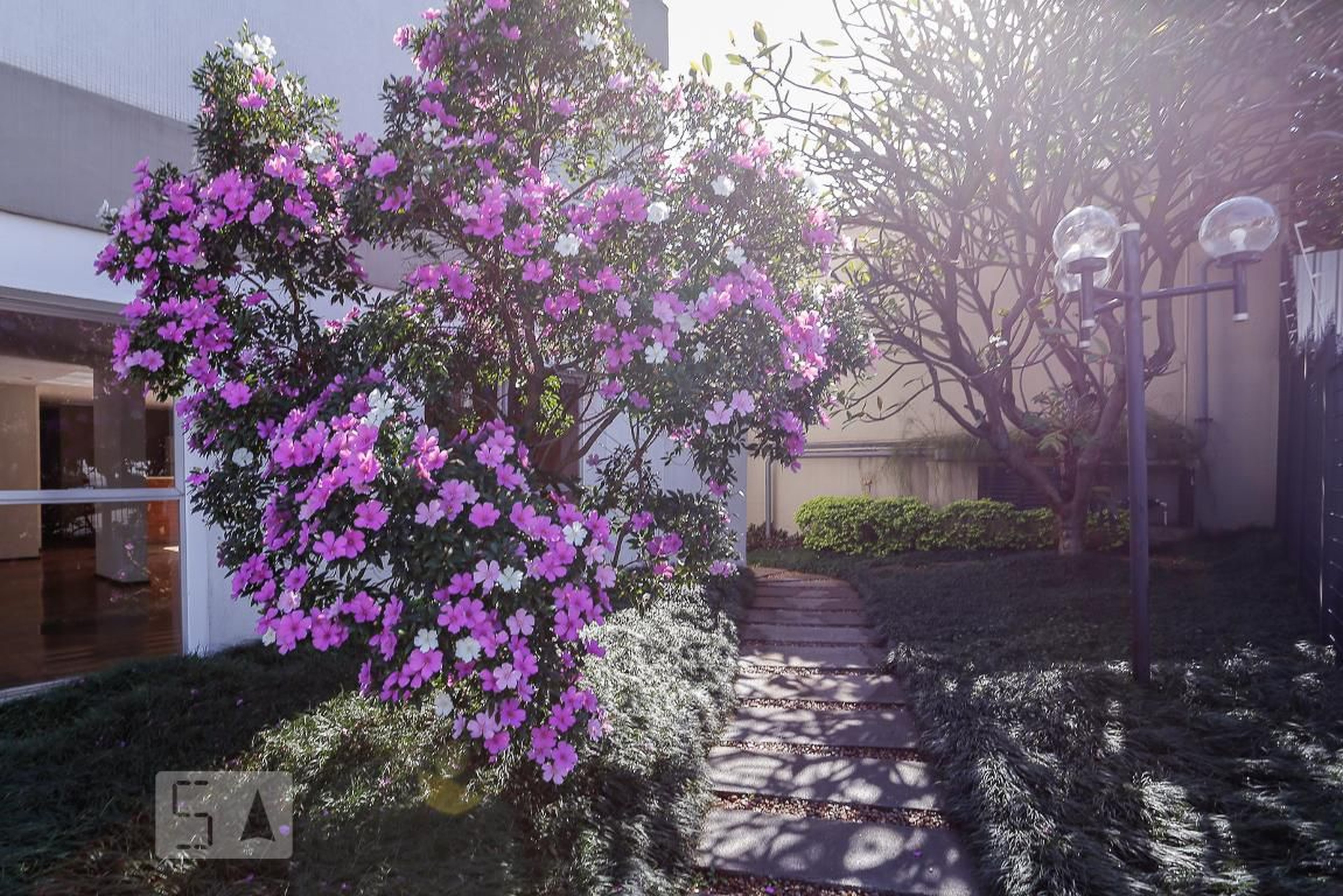 Entrada - Puerto La Cruz