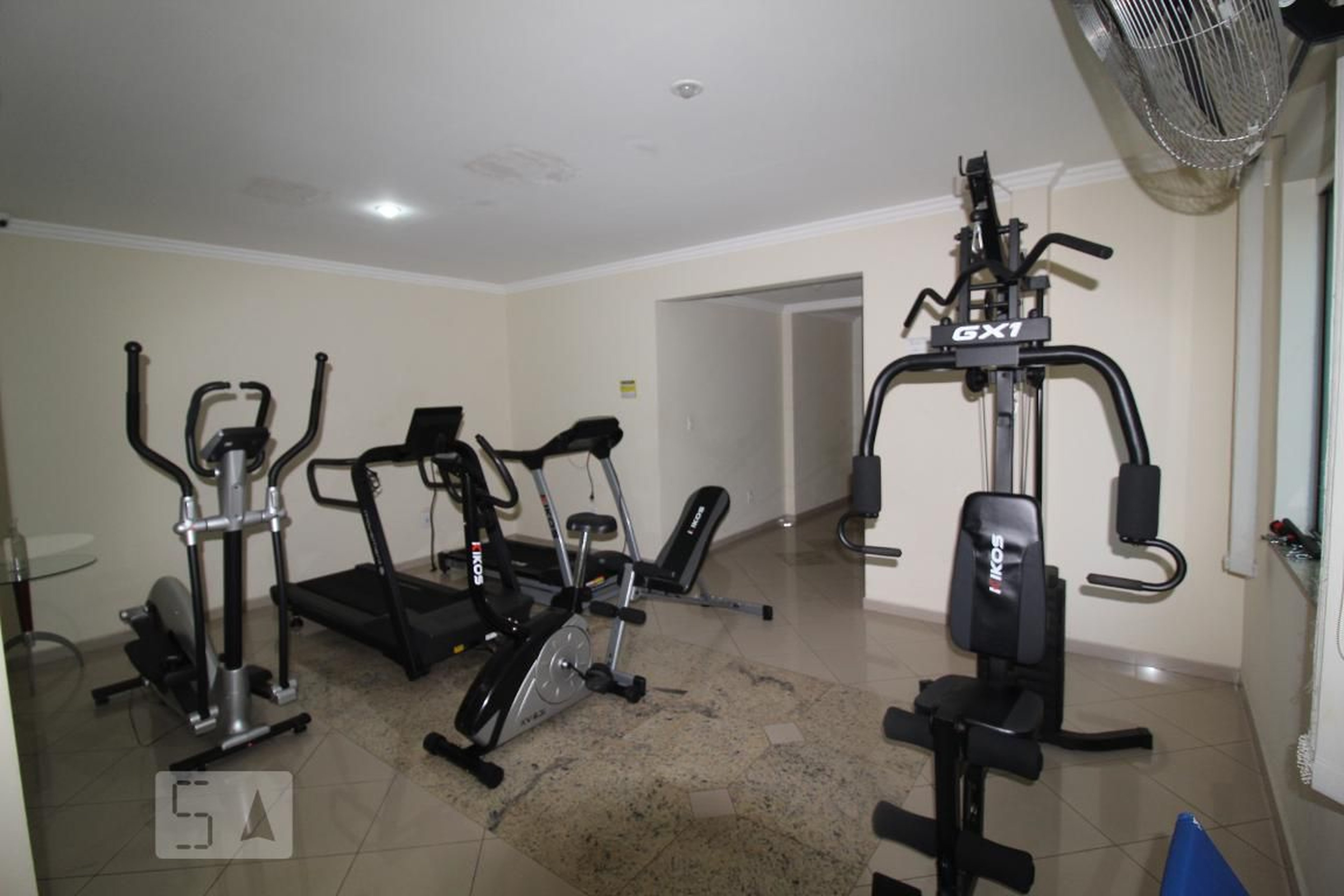 Academia - Magenta I