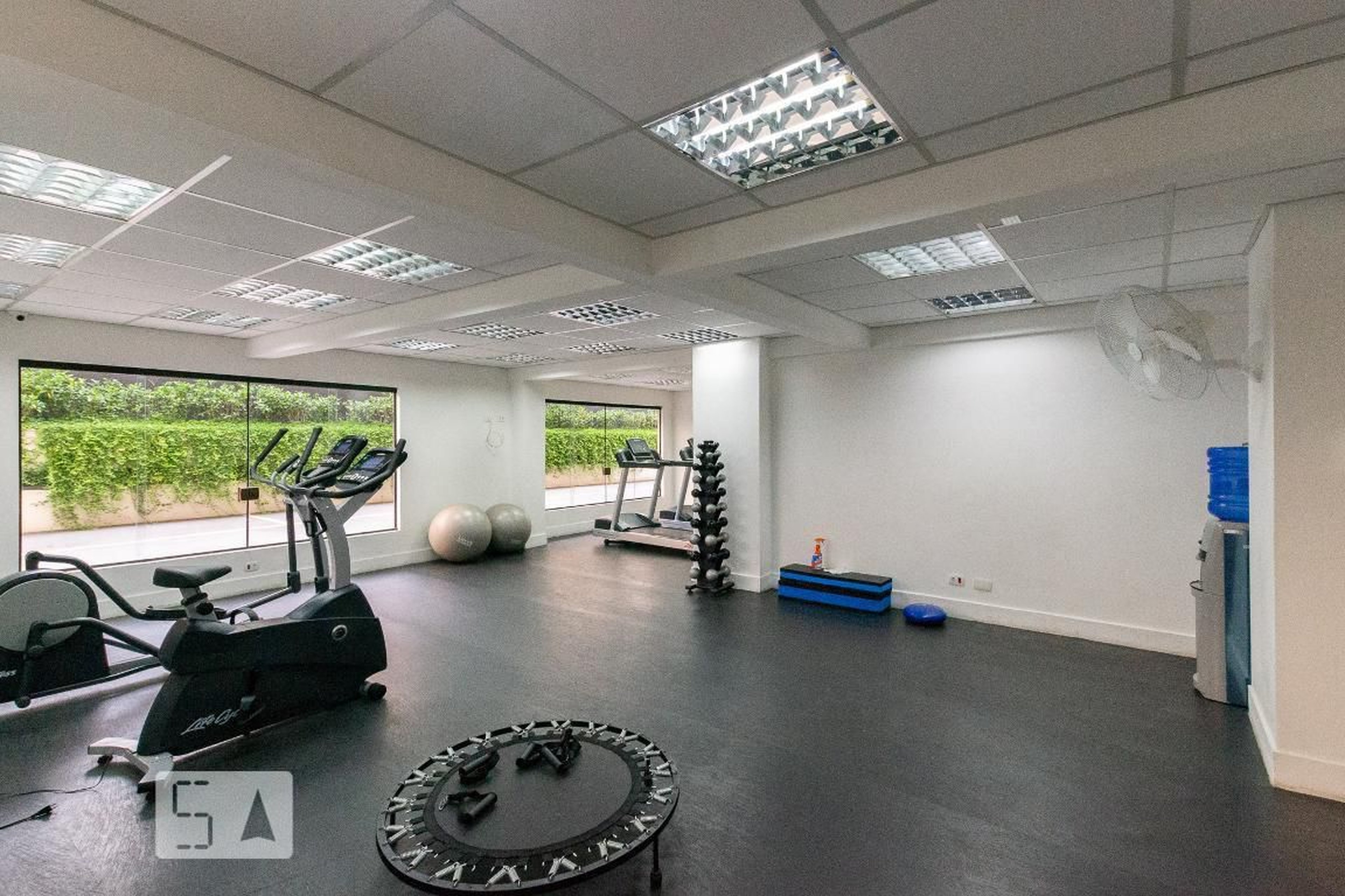 Academia - Gold star