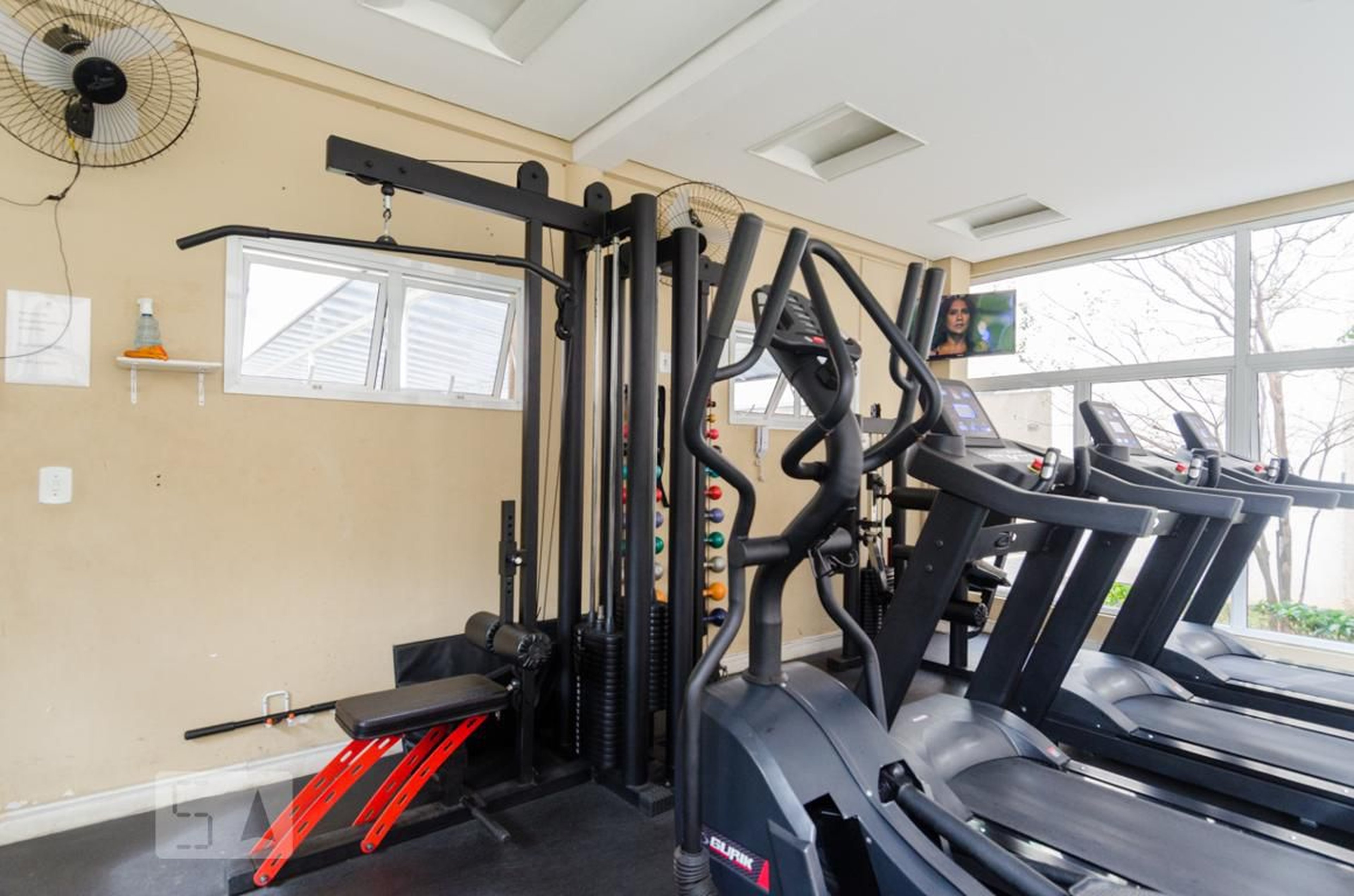 Academia - Vida Plena