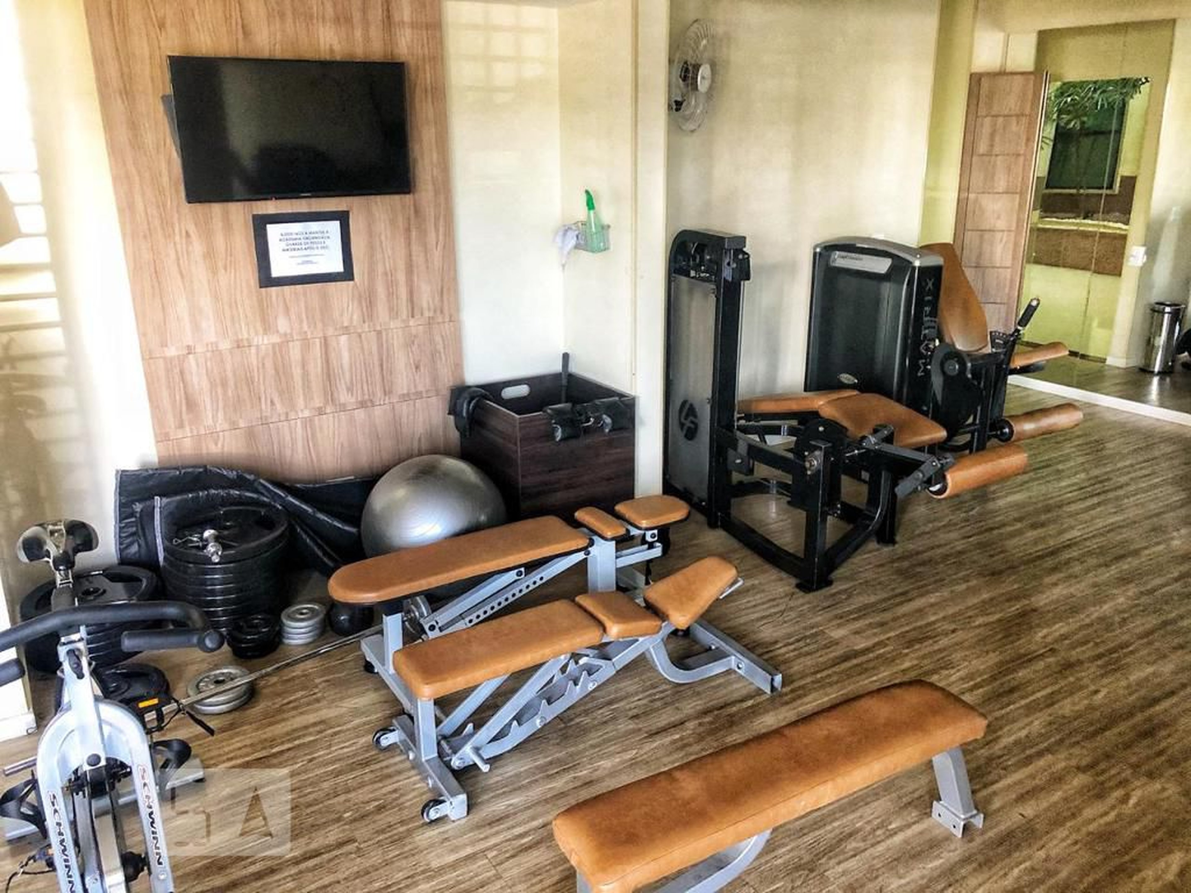 Academia - Sant Regis