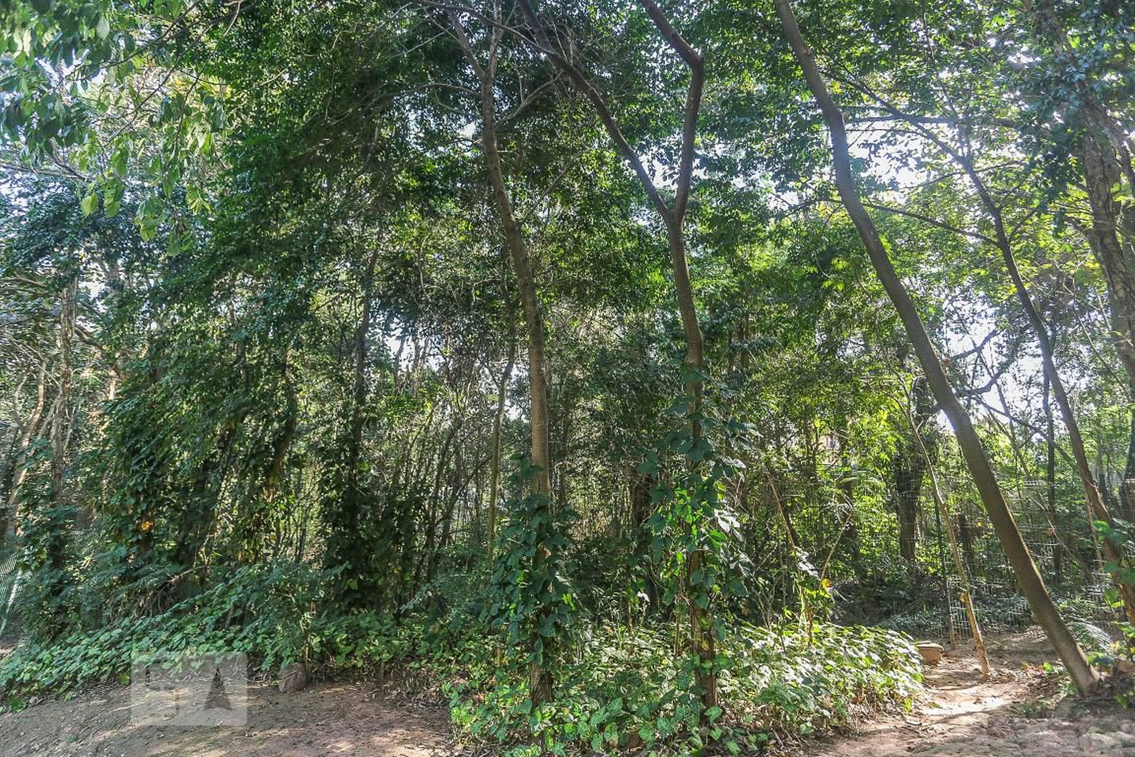 Area Comum - Vitallis Ecoclube