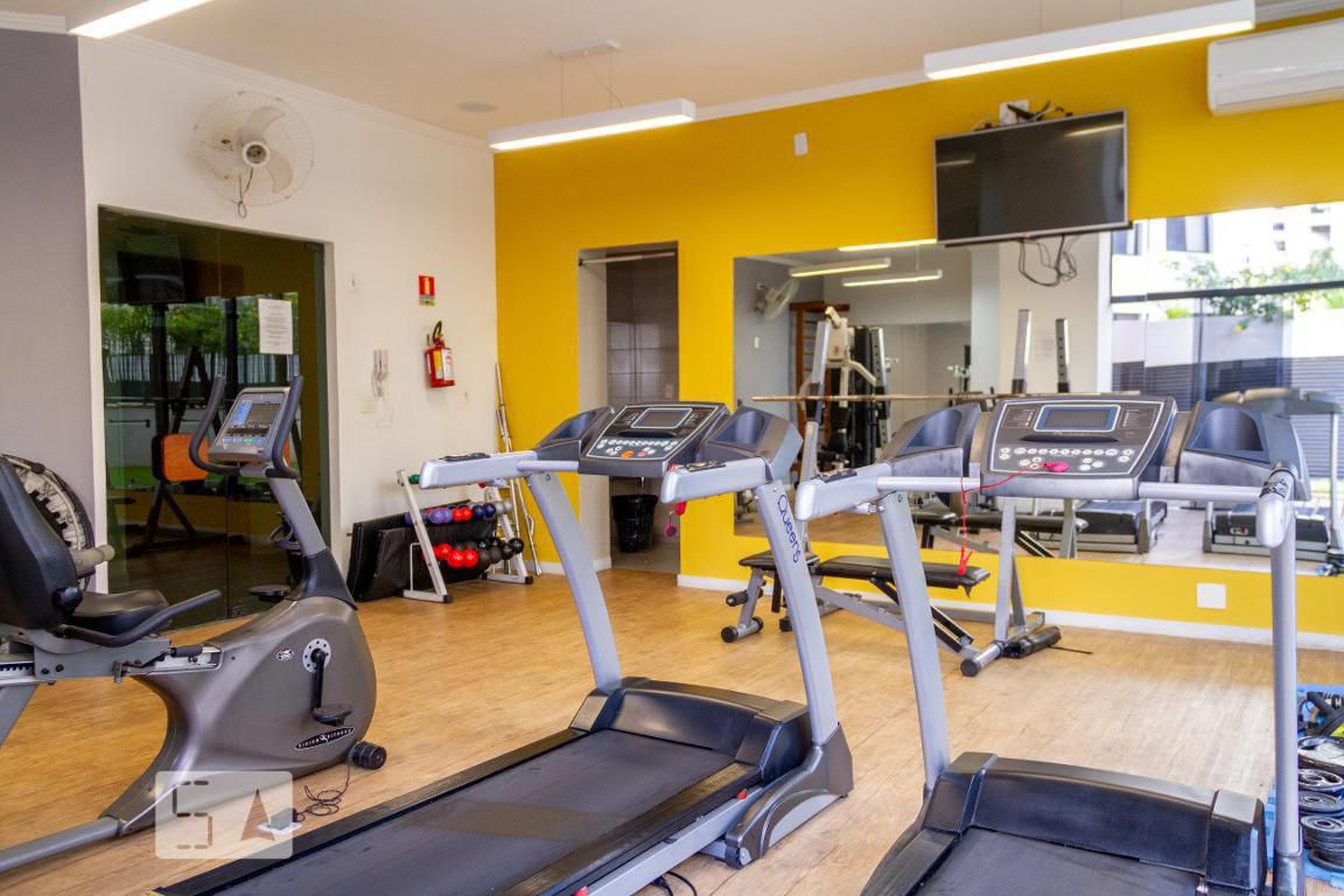 Academia - West Side