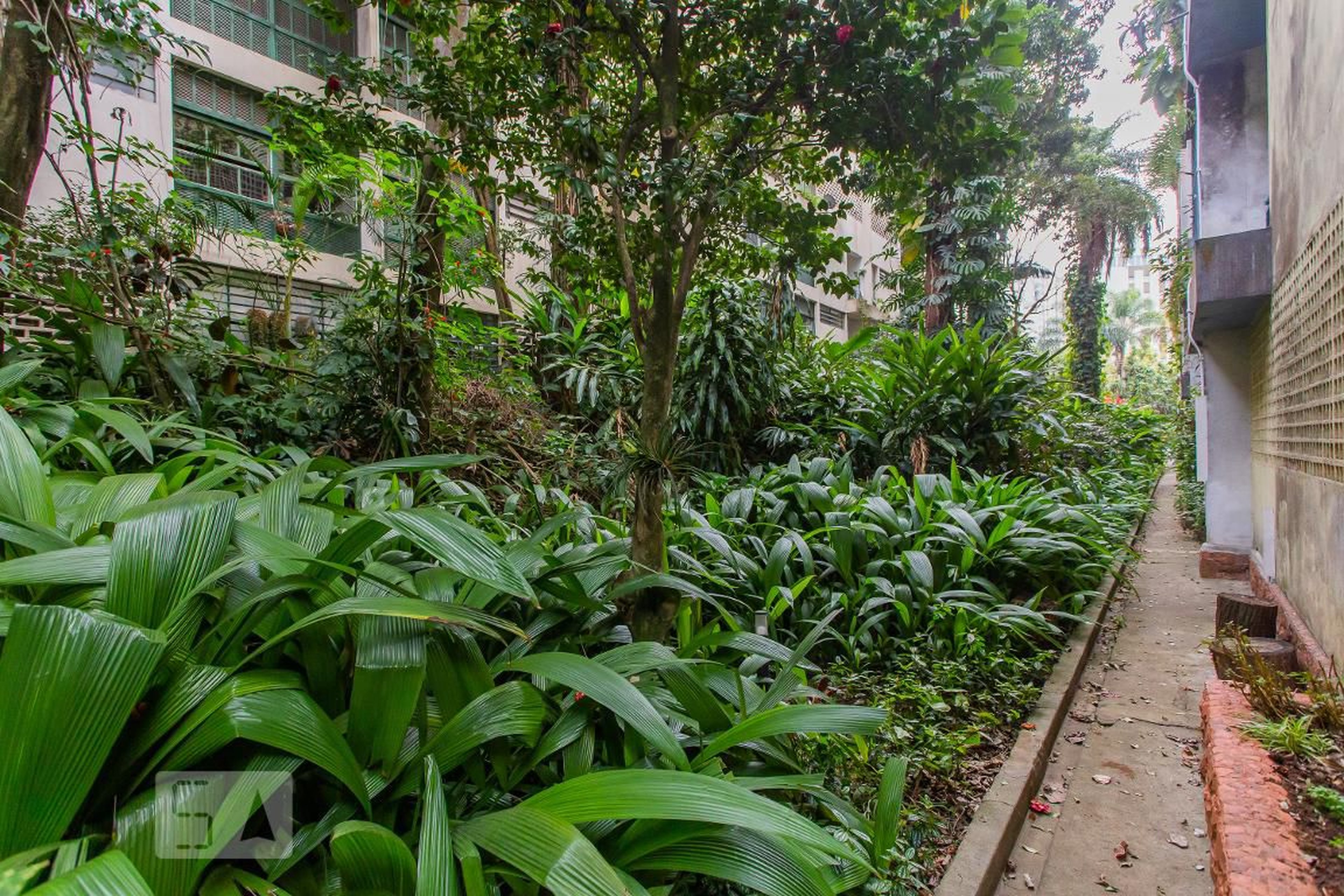 Area Externa - Hicatu