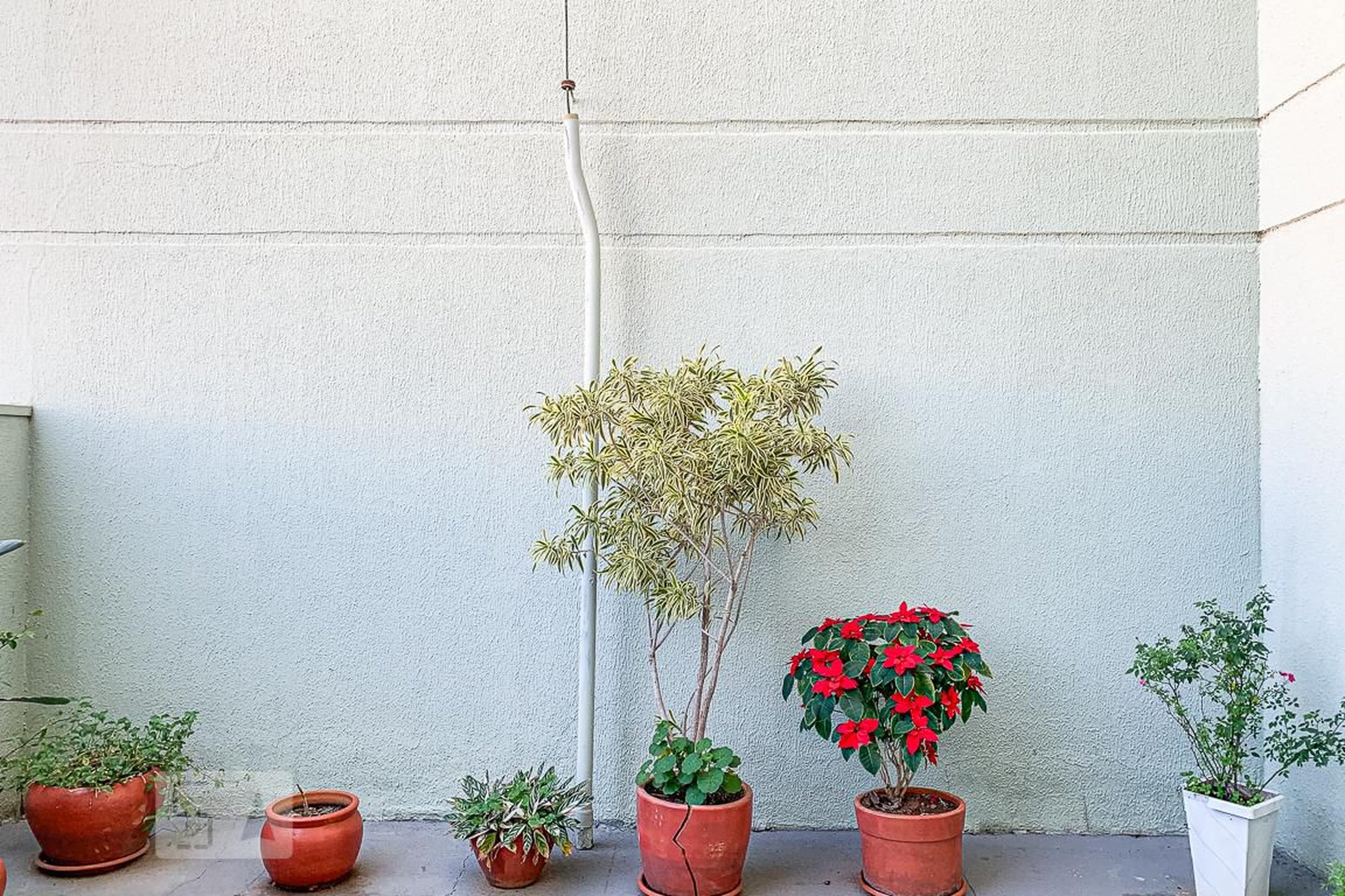 Condomínio - Edifício Maria Helena