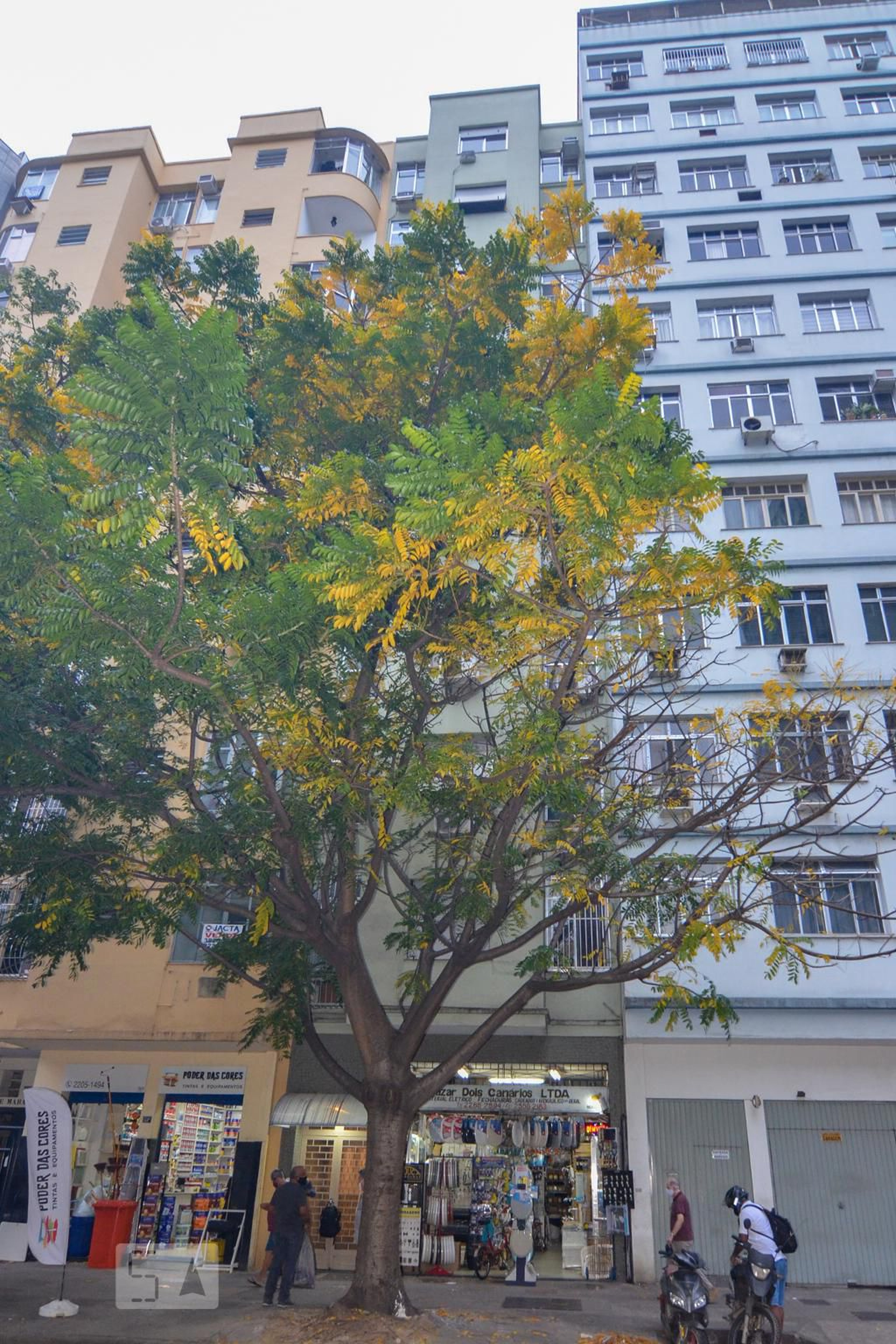 Fachada Edifício Rio Cici