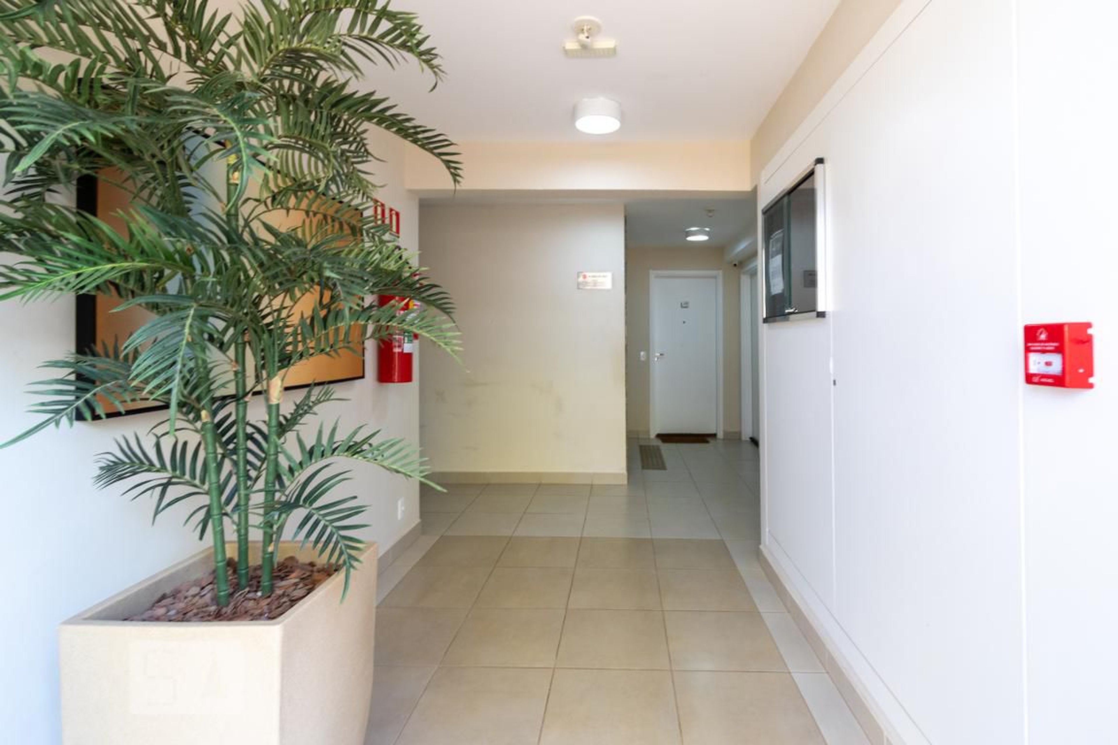 Hall - Plano Morumbi