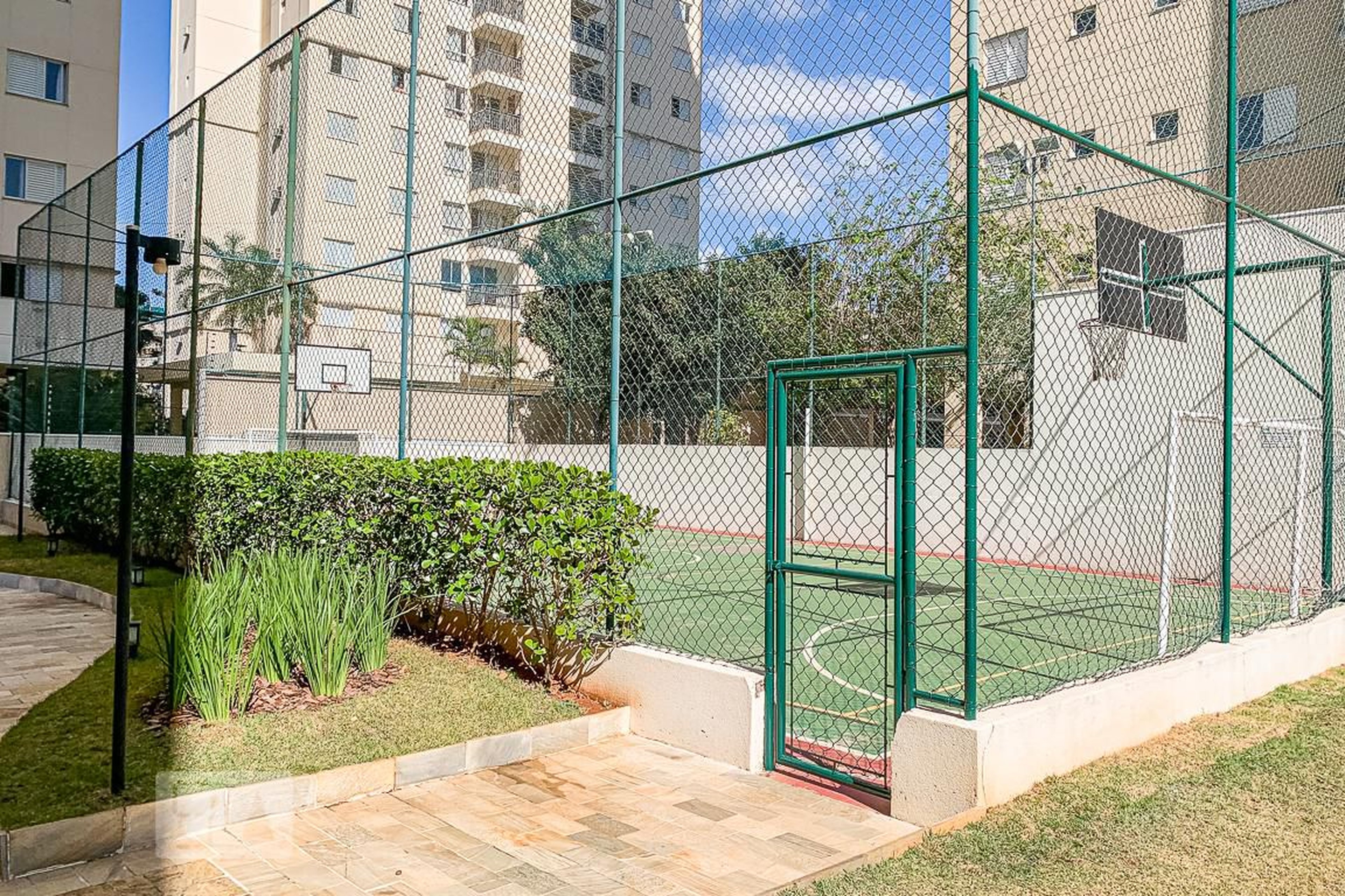 Quadra - Dream Vision