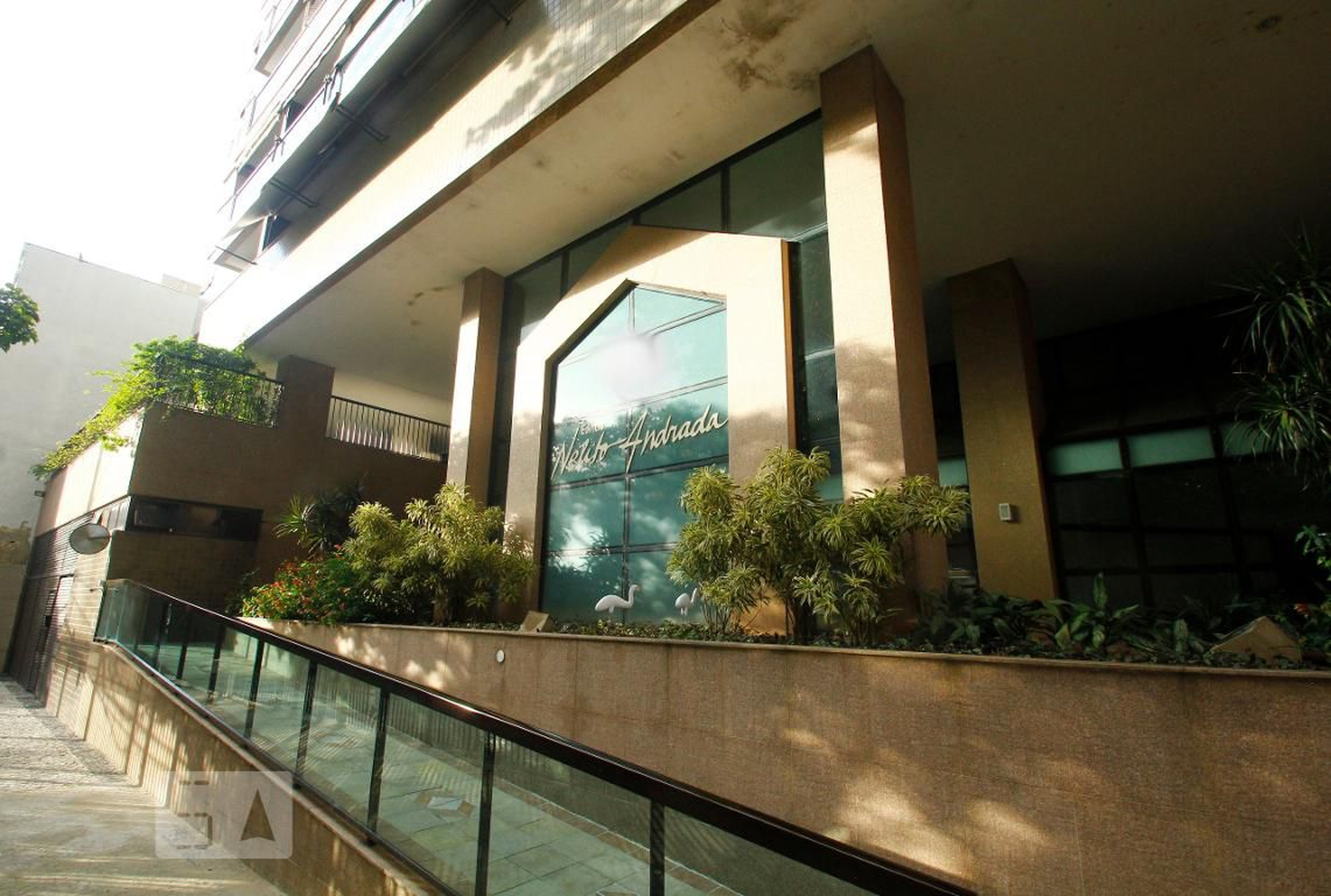 Entrada - Nelito Andrada