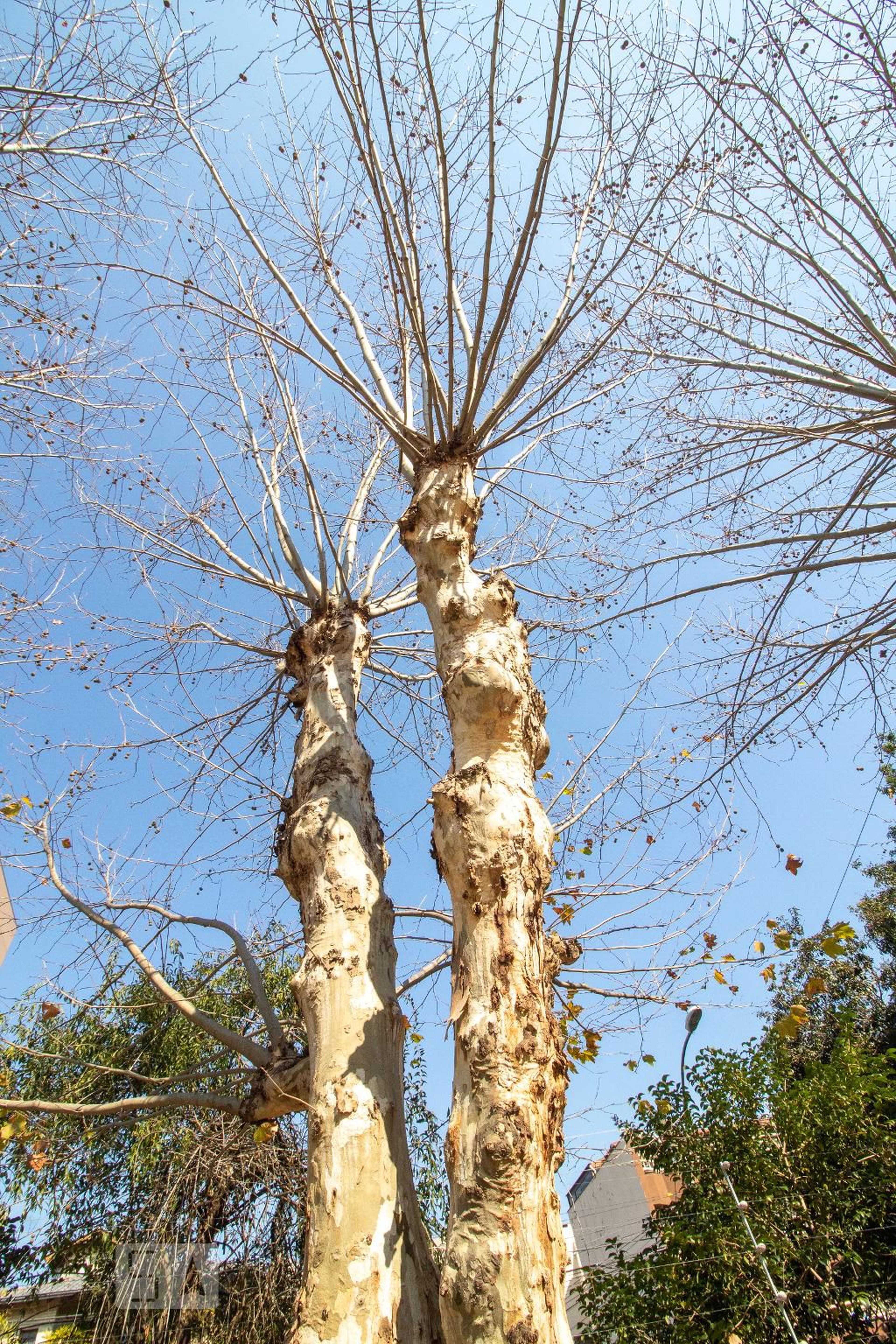 Área comum - Edifício Buenos Aires