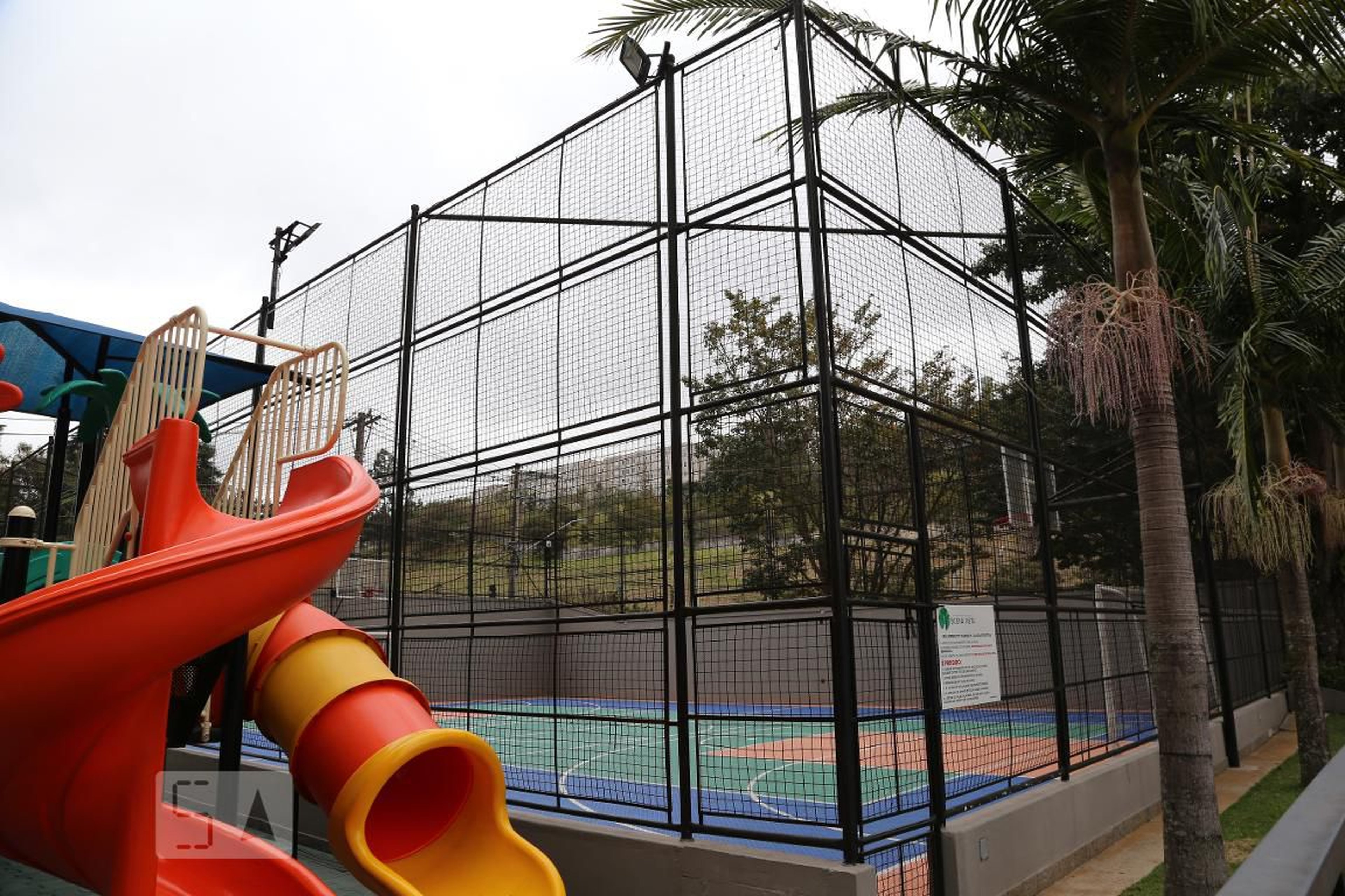 Quadra - Buena Vista