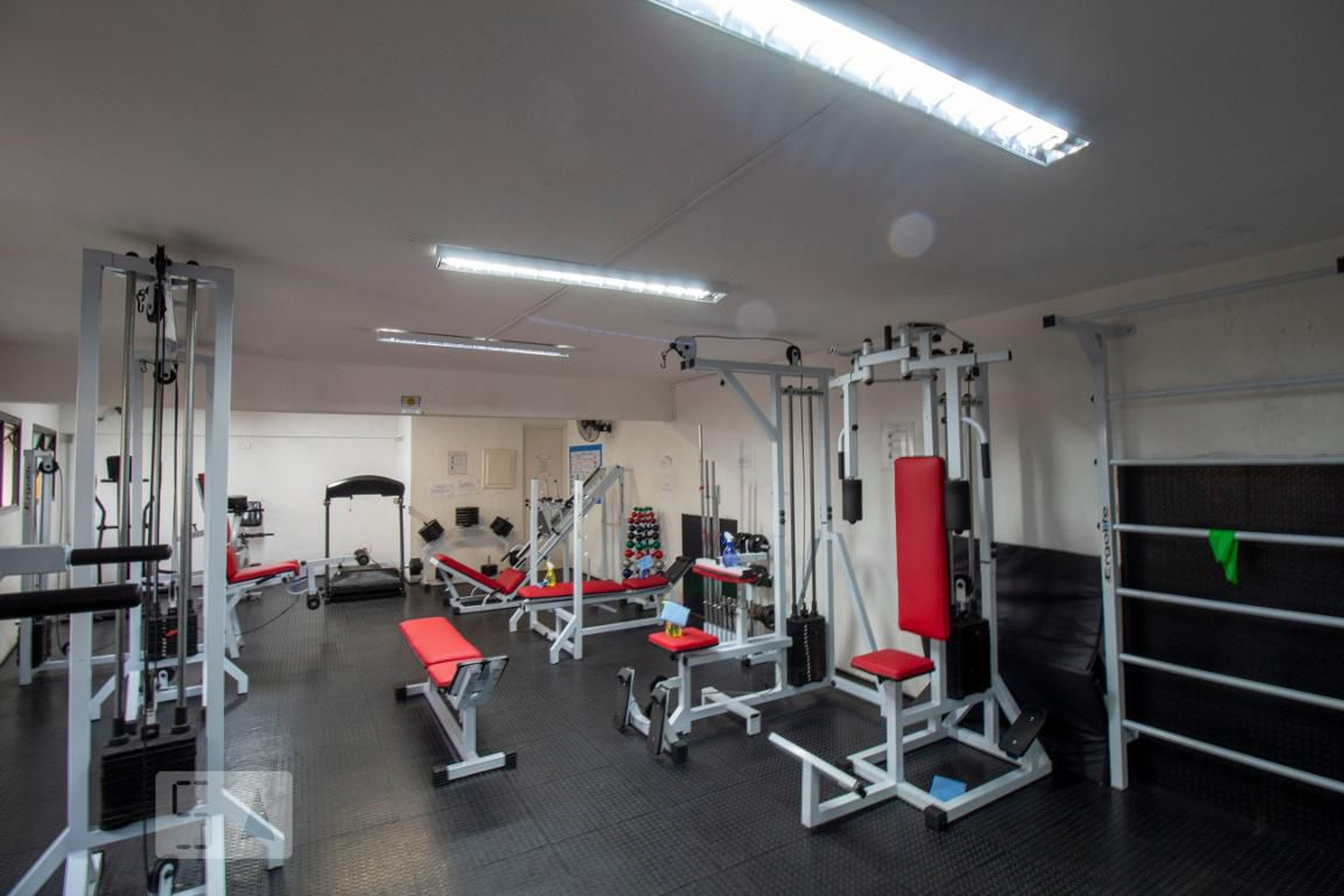 Academia - Piazza Navona