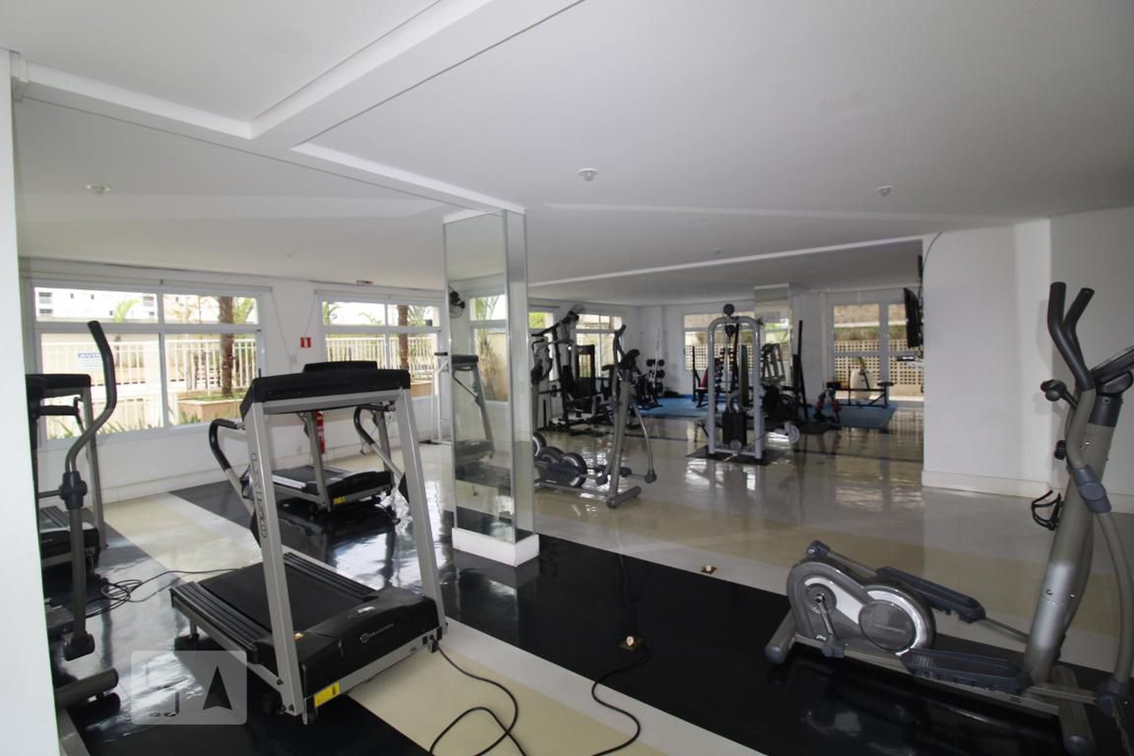 Academia - Status M. Bigucci