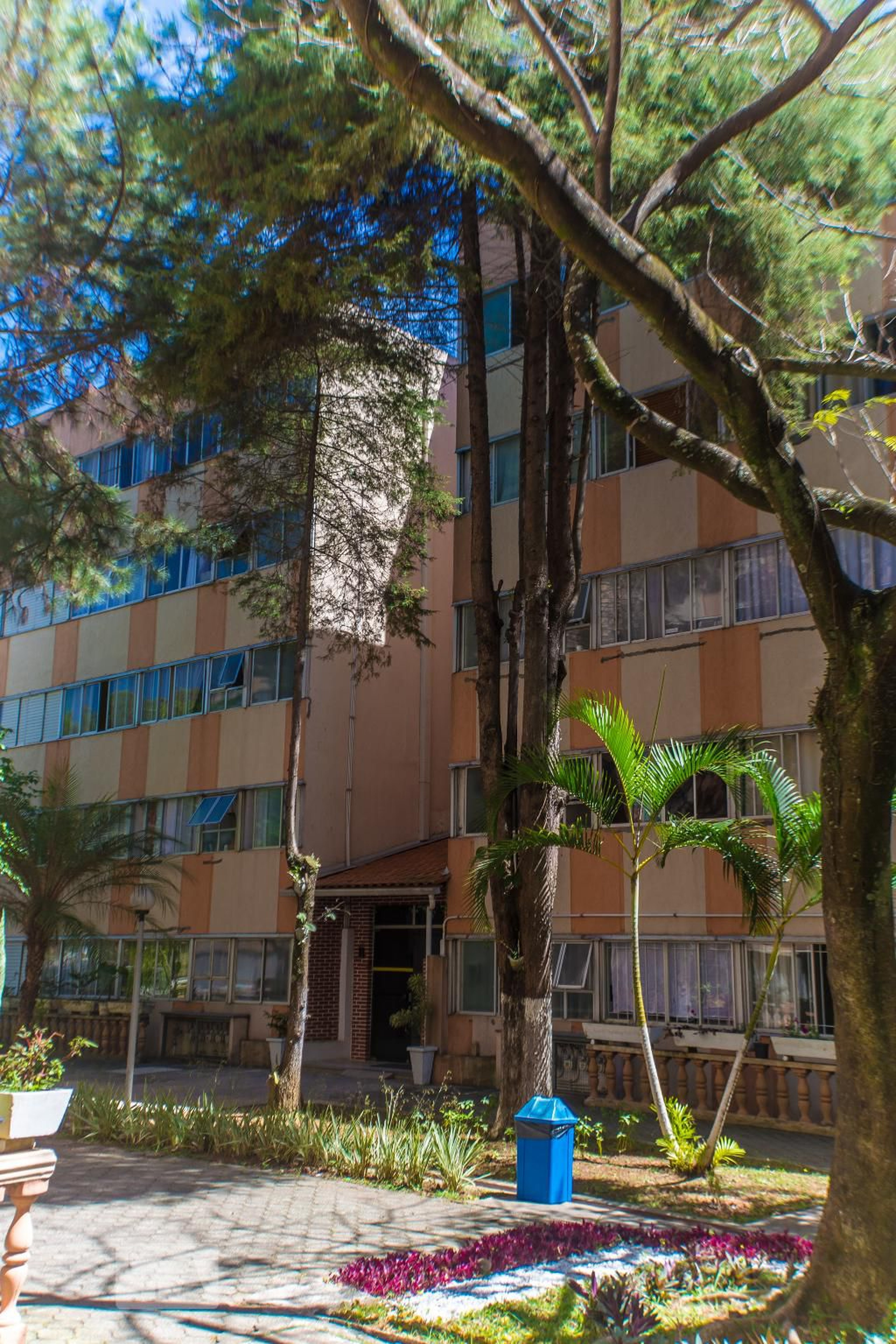 Entrada - Samambaia II