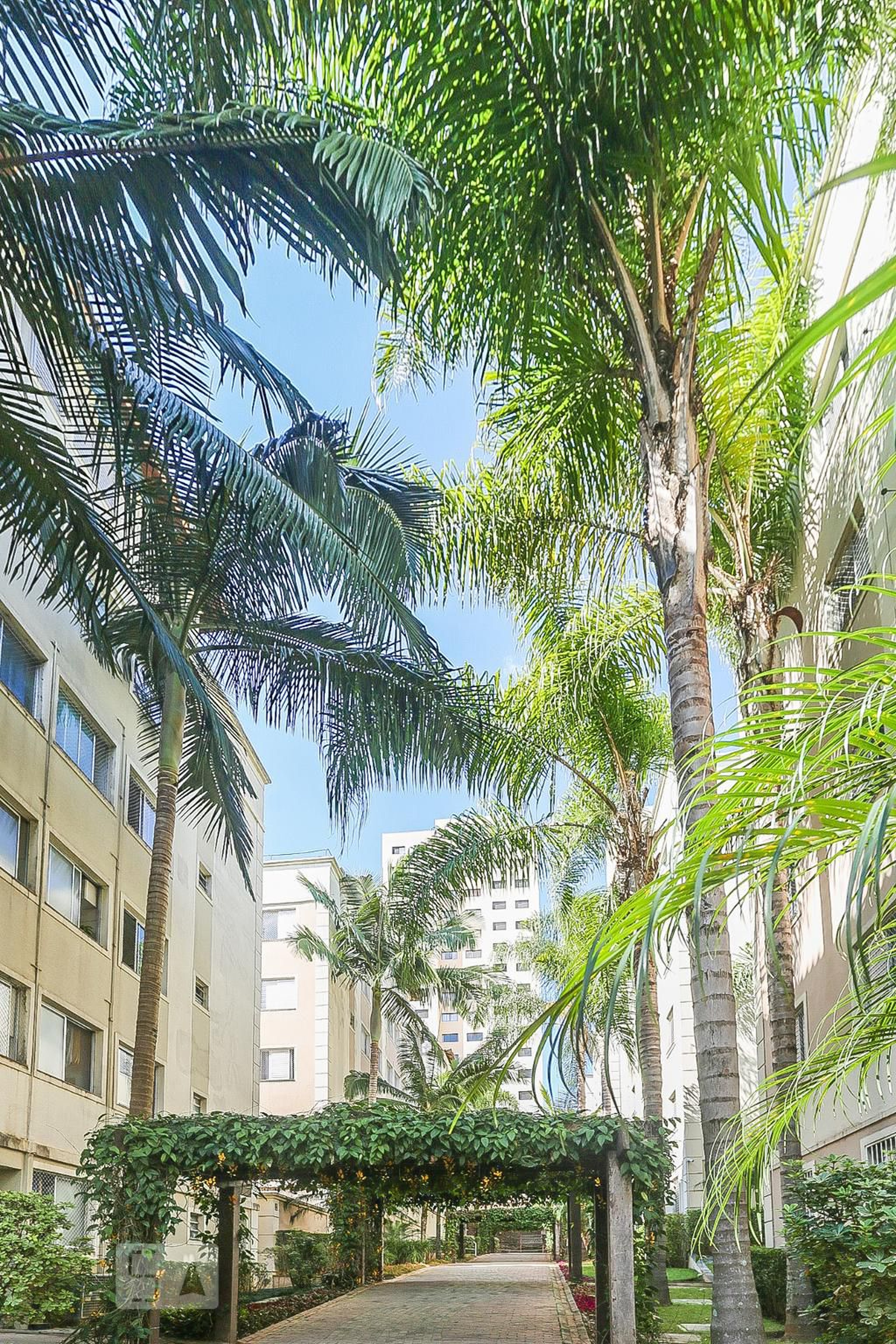 Fachada Condomínio em Rua Lourenço Prado, 202