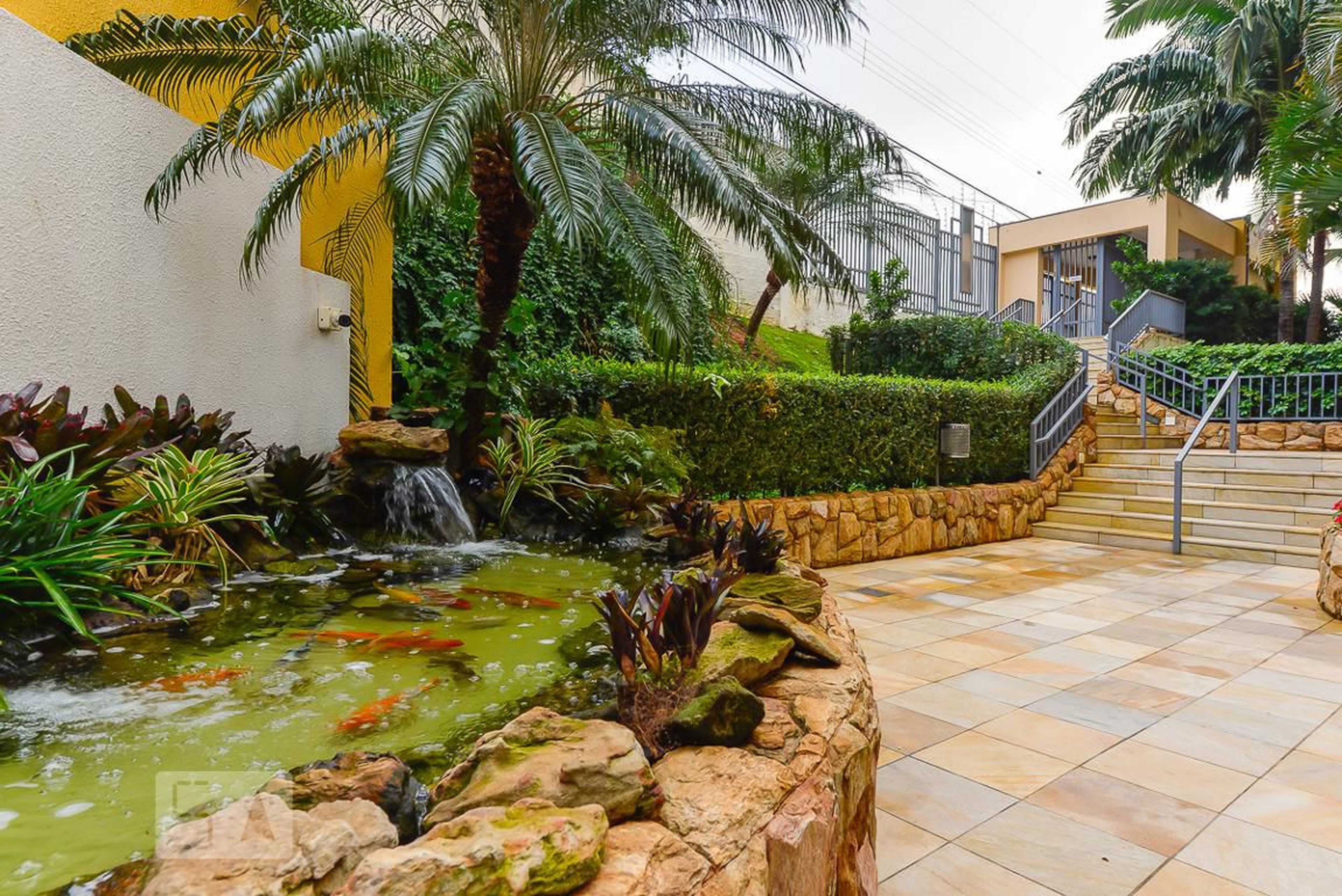 Area Comum - Ilhas do Pacífico