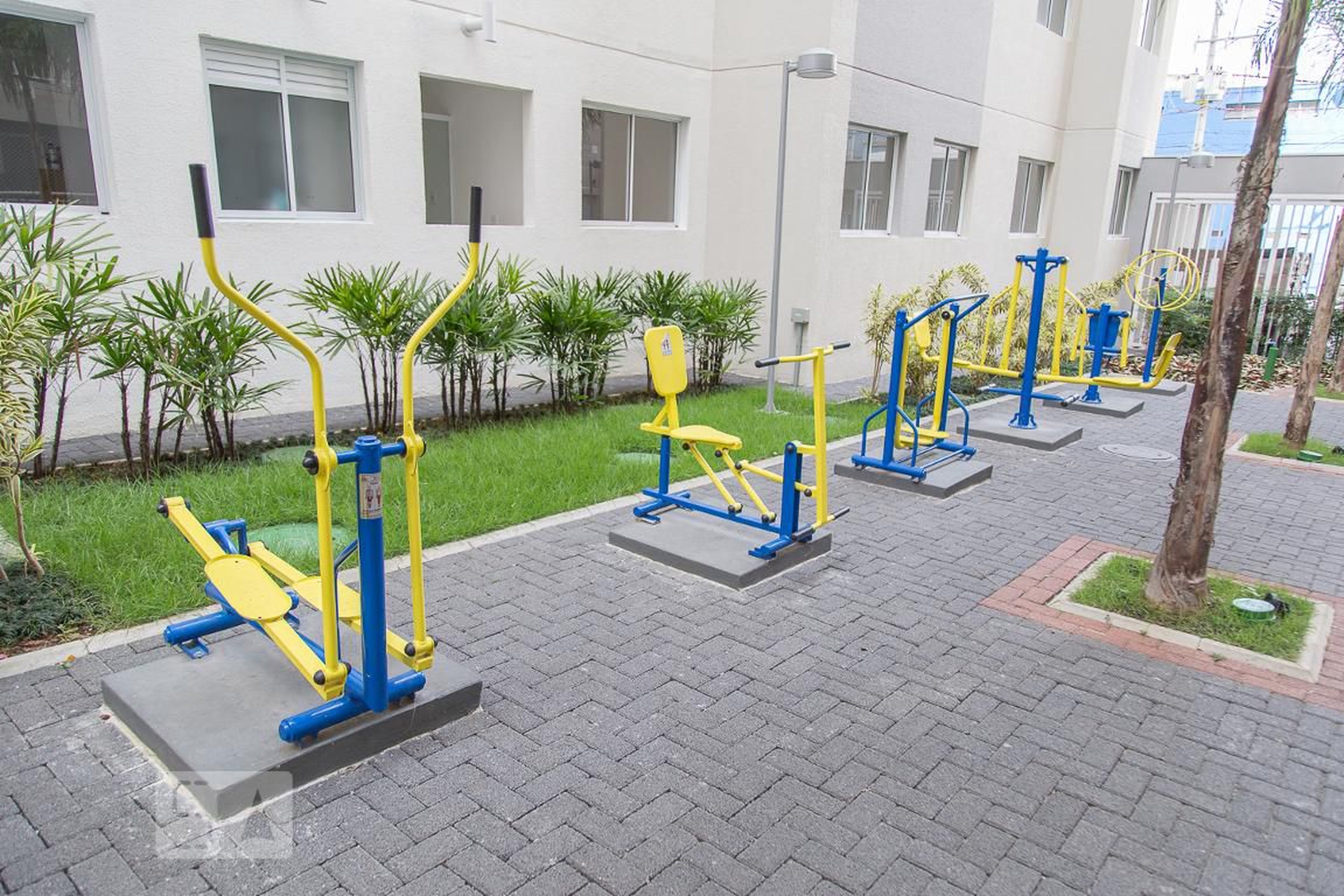 Academia - Eleve Bras