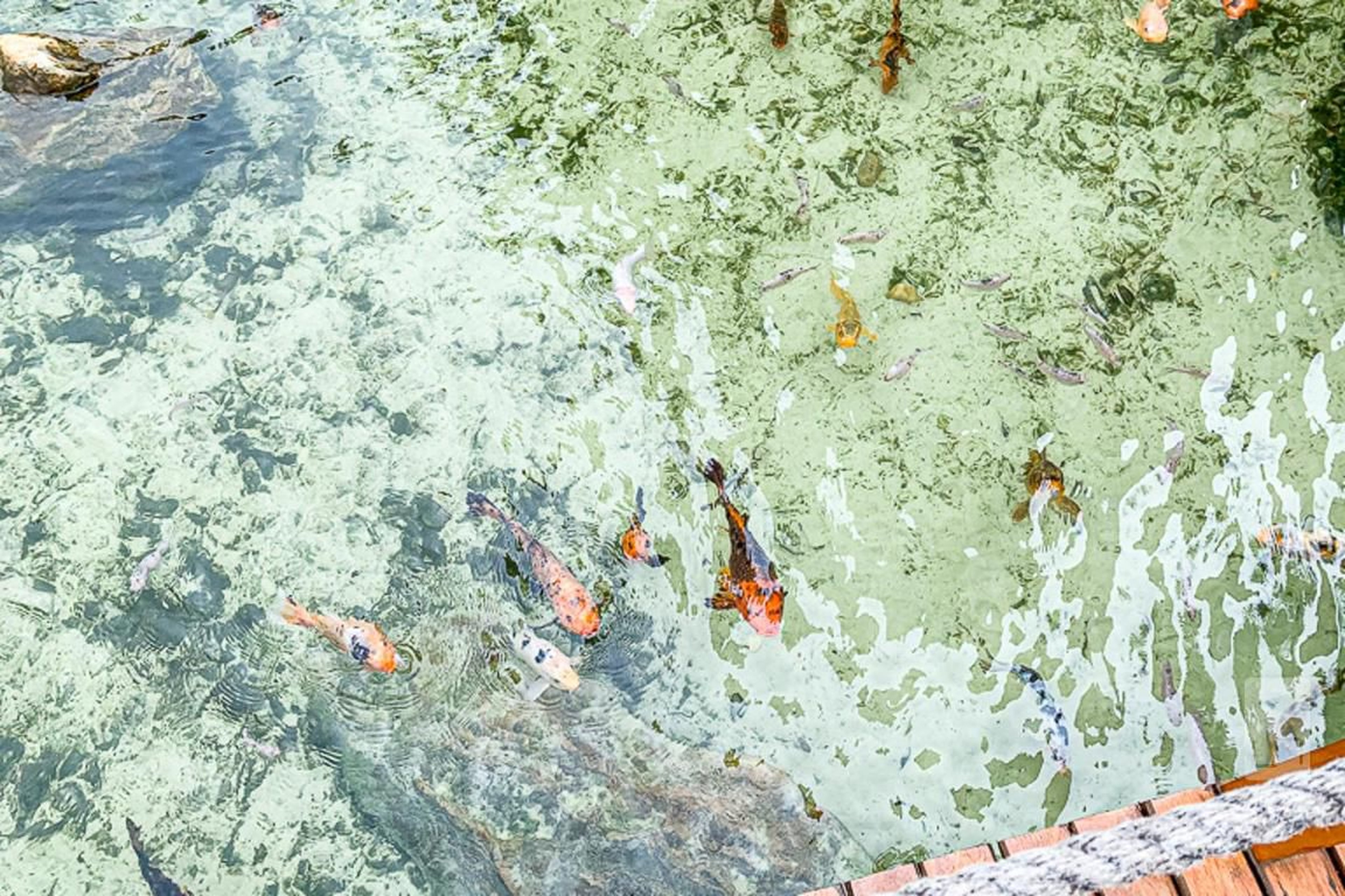 Condomínio - Wonders Galleria