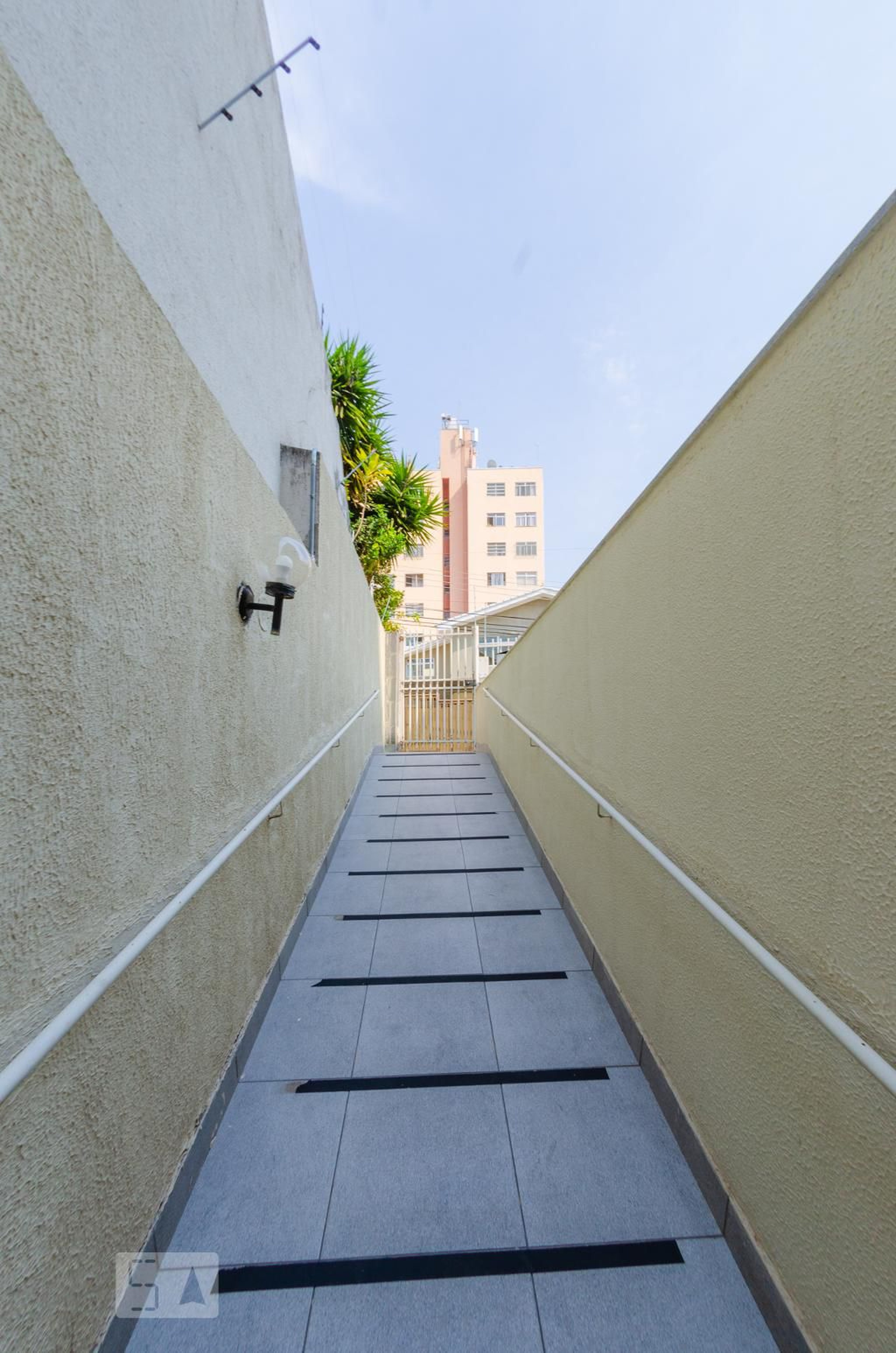 Entrada - Antonieta Vidal