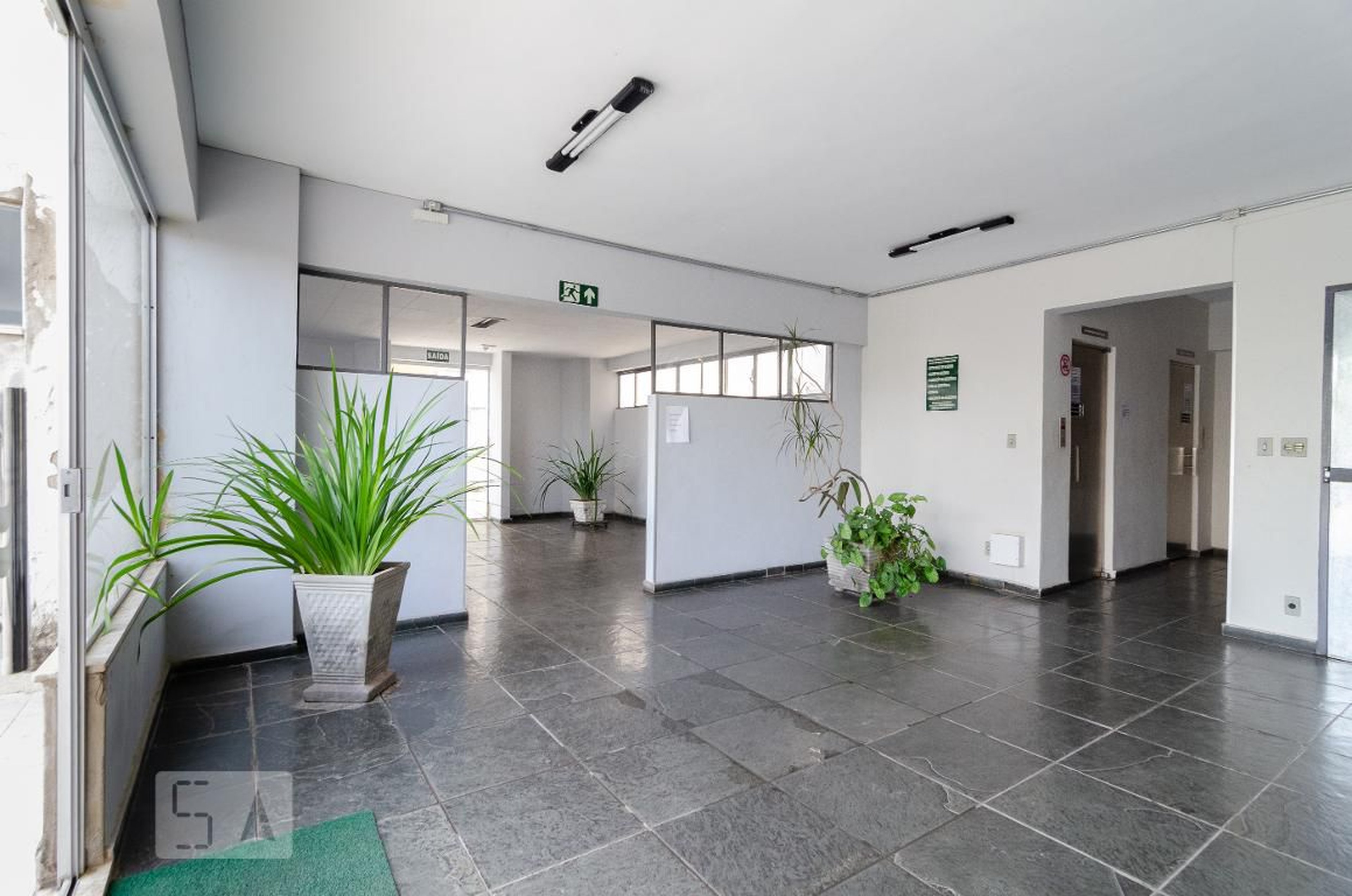 Hall - Felisbina Domingues