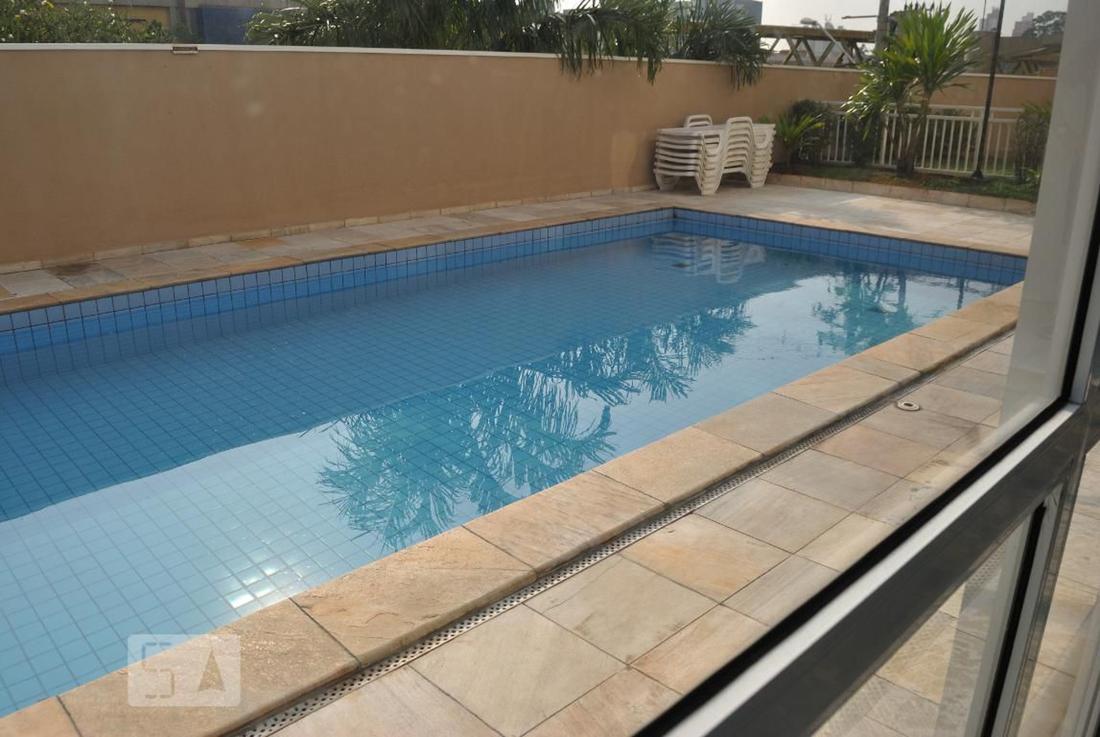 Piscina adulto - Terraço Ipiranga