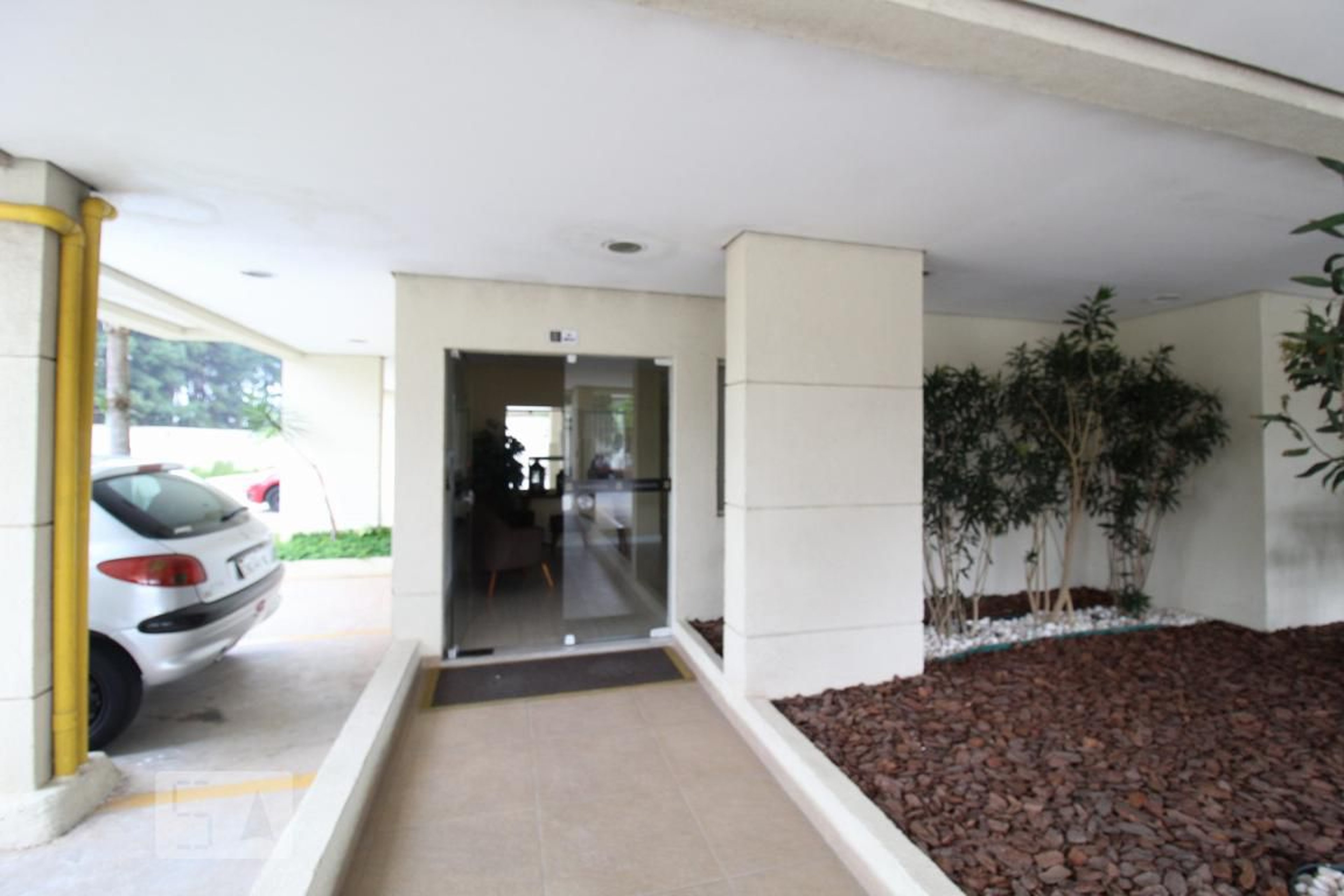 Entrada social - Camerata