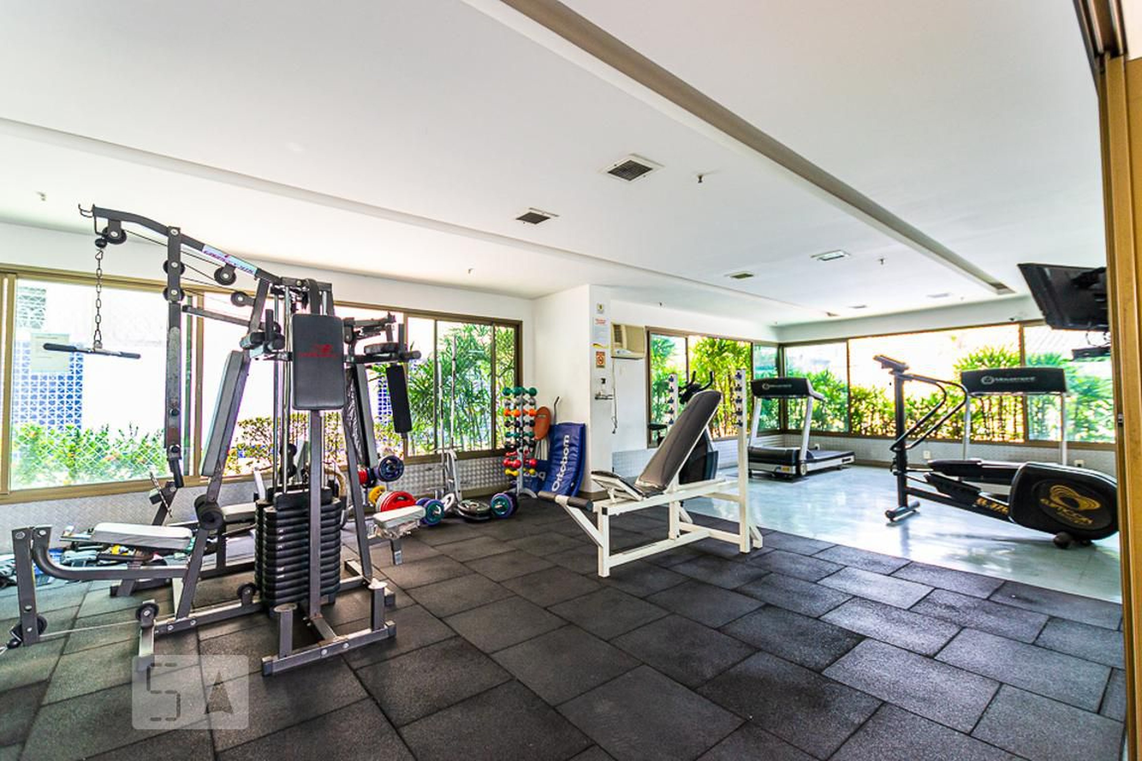 Academia - Bella Vita