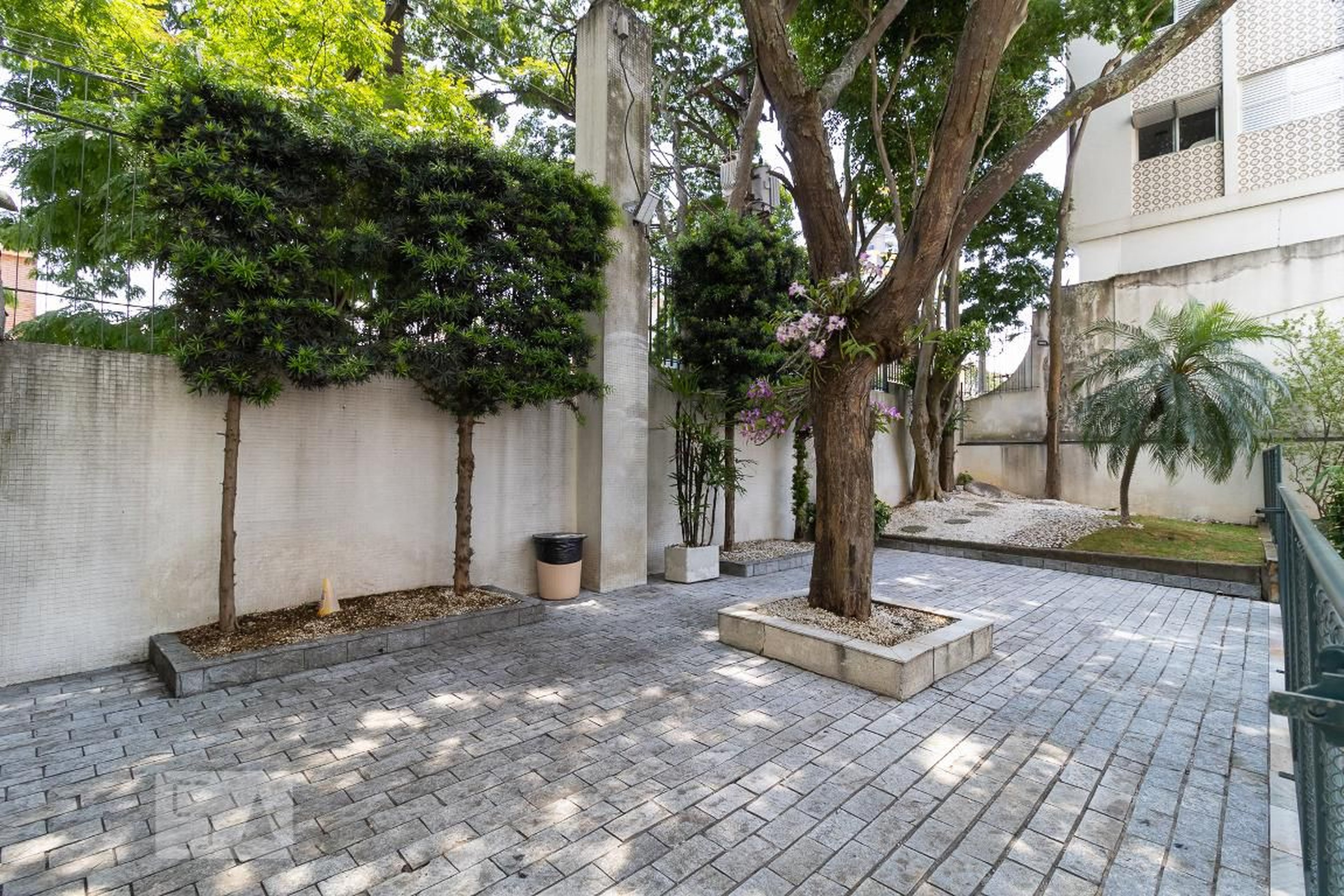 Espaço Pet - Marques de Olinda