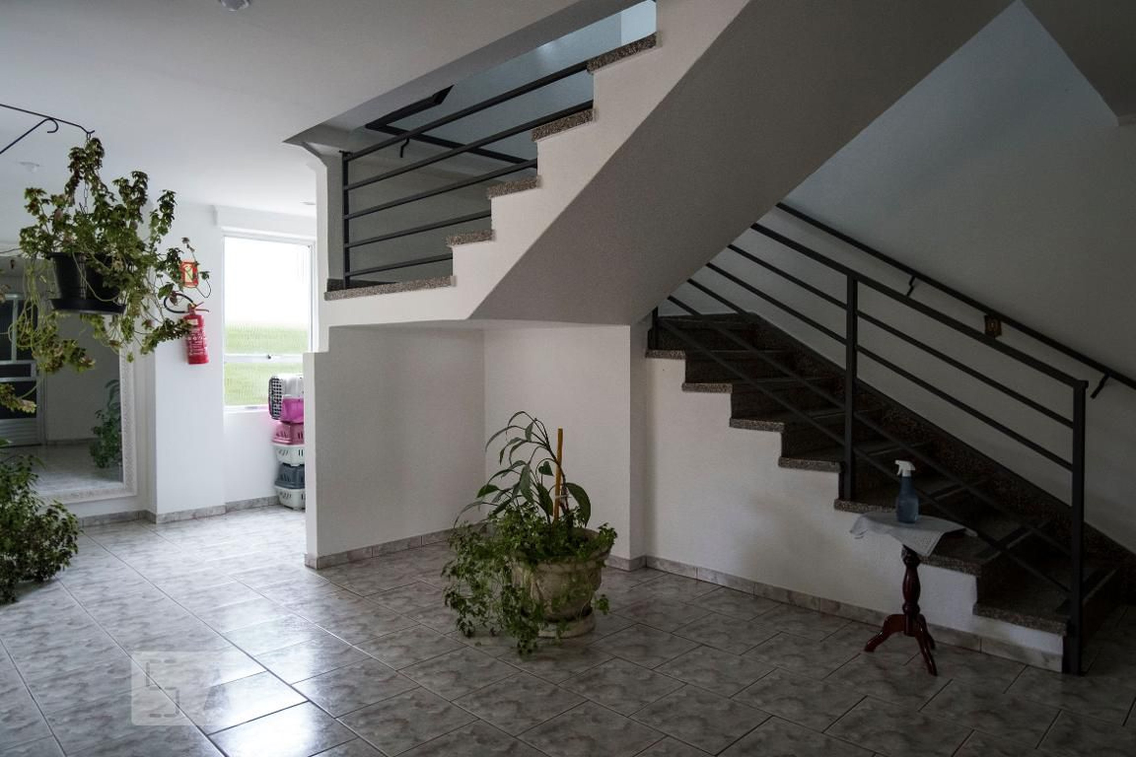 Hall de Entrada - Renan