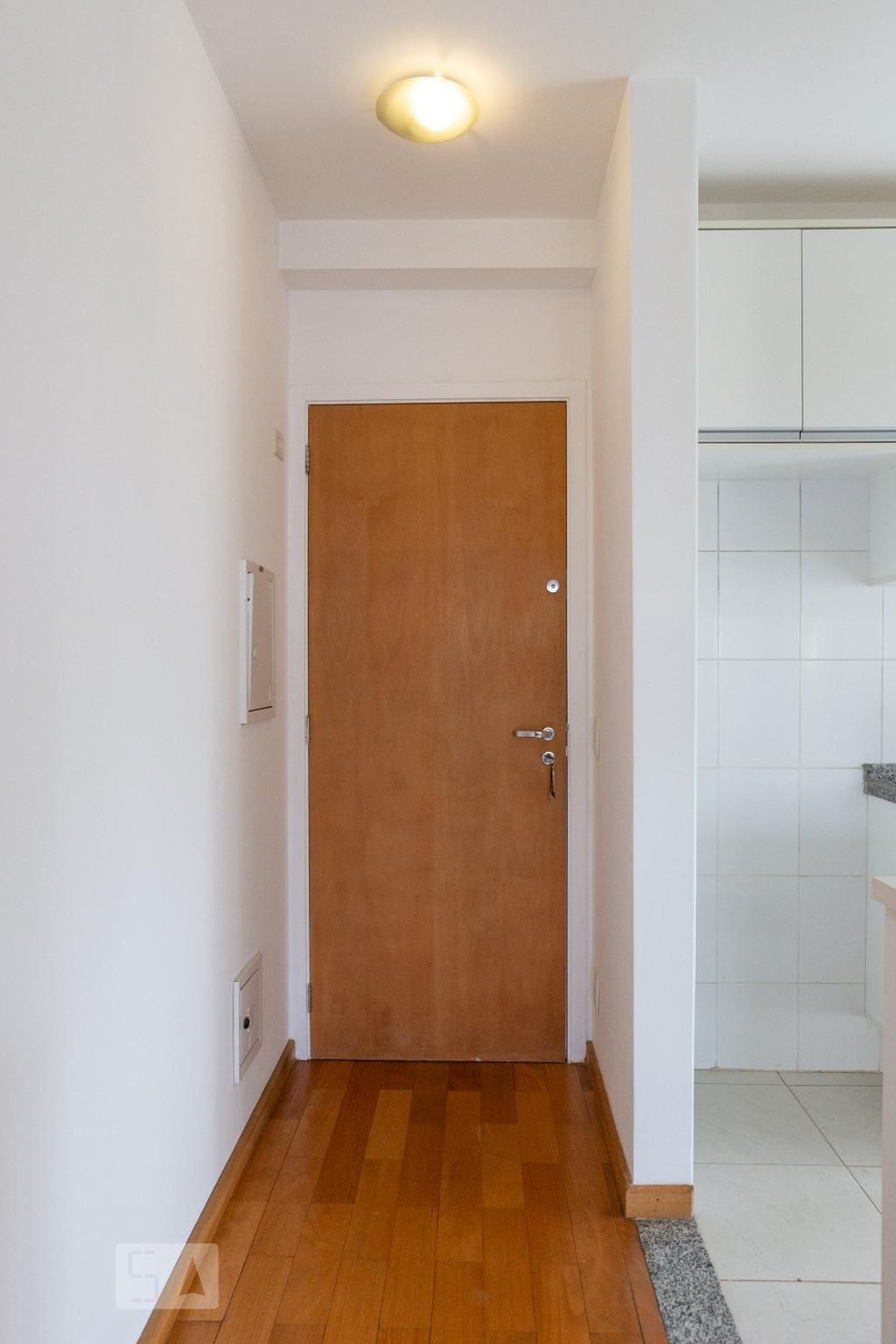 Entrada - Antonin Dvorak