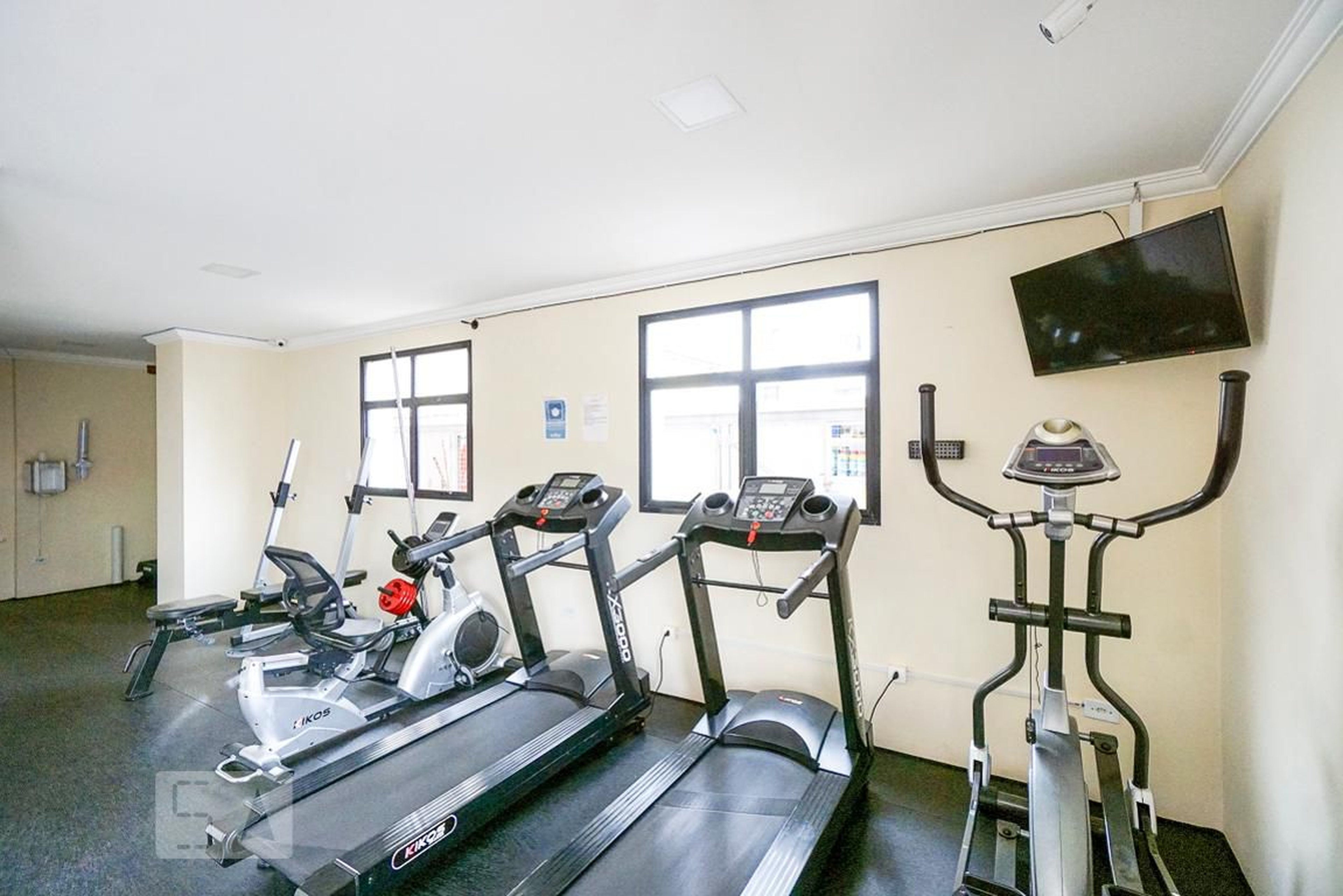 Academia - Del Belvedere