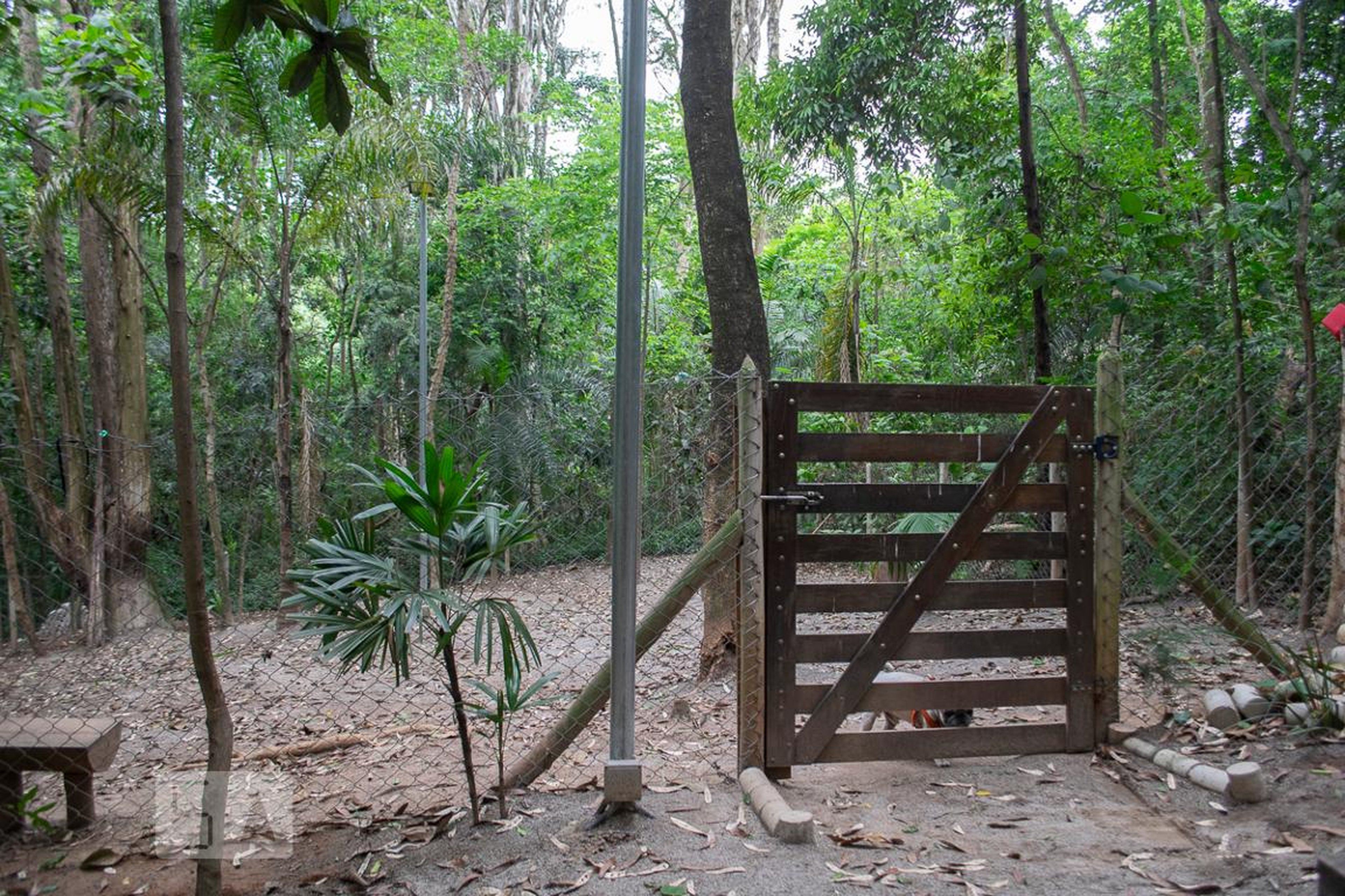 ESPAÇO PET - Bosque do Jaragua