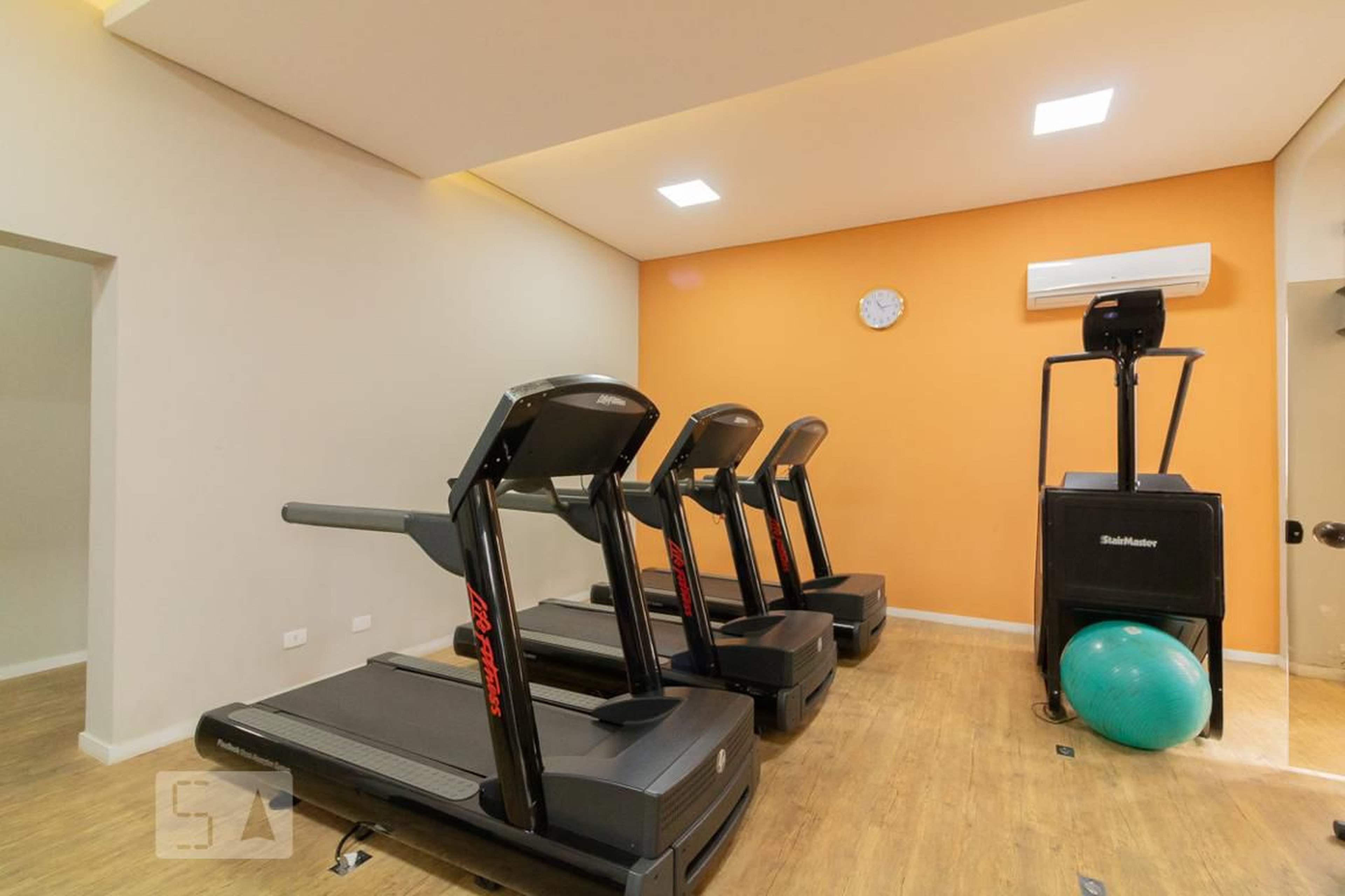 Academia - Queen Elizabeth