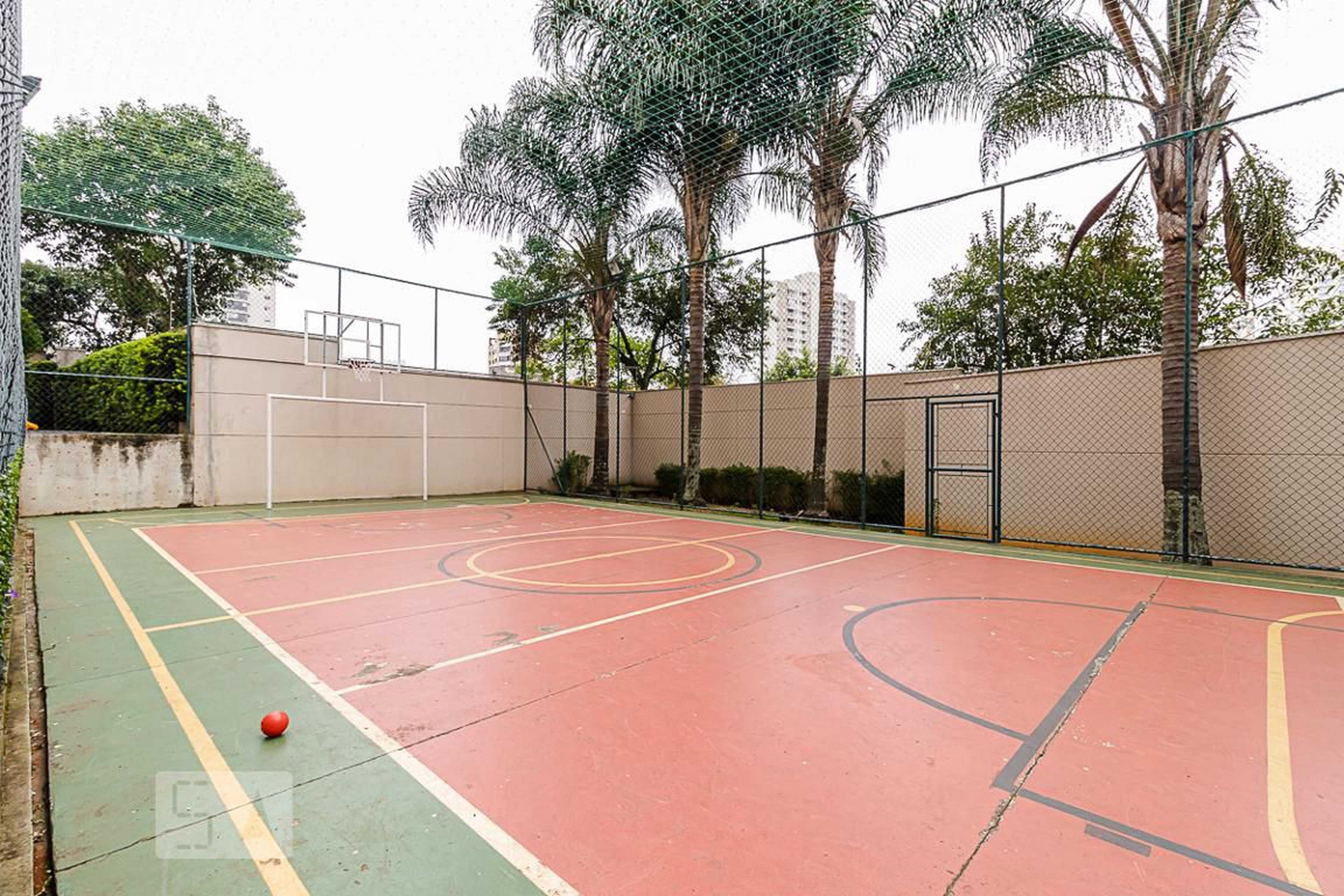 Quadra - Ilha Mariana