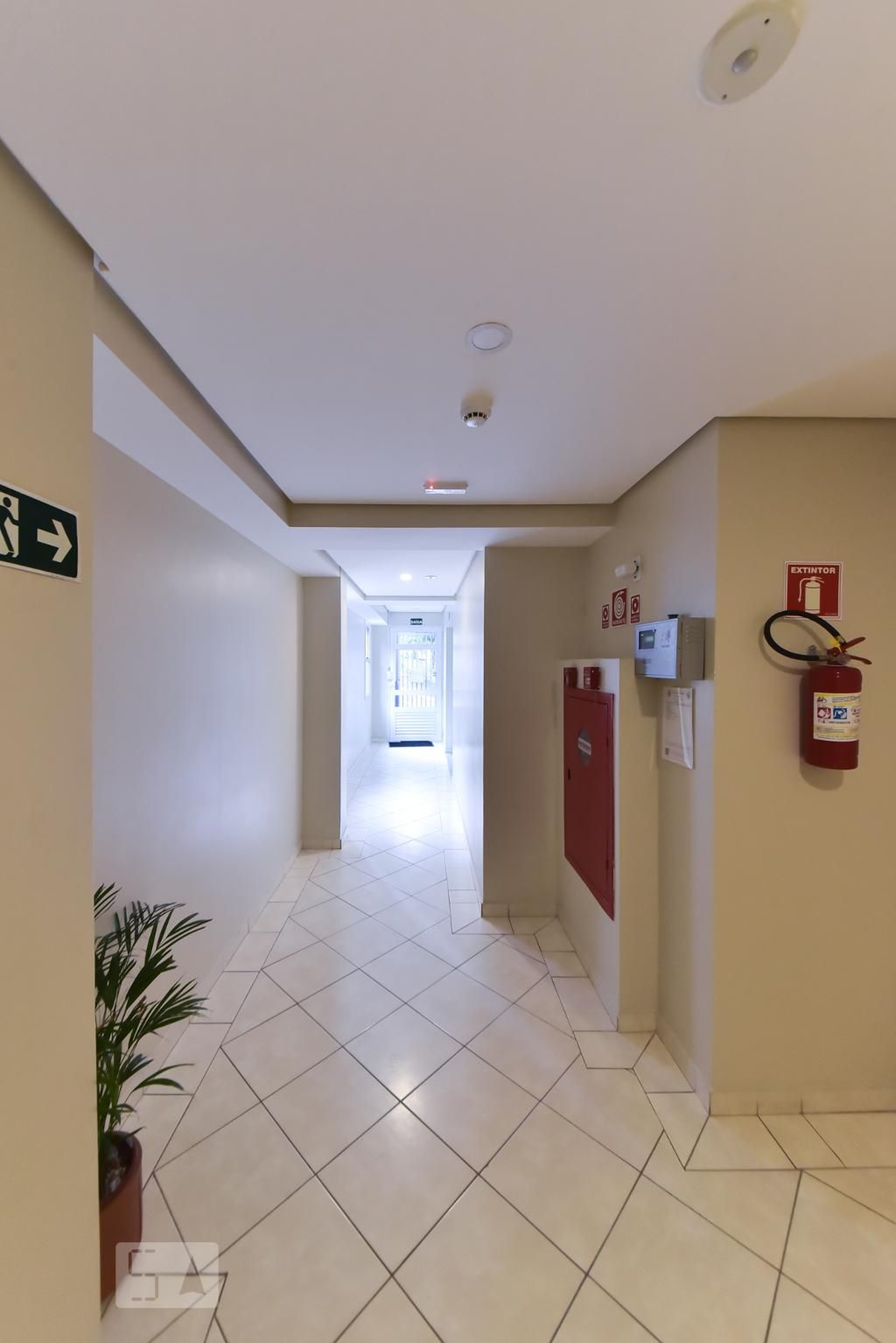 Hall Social - The Hill