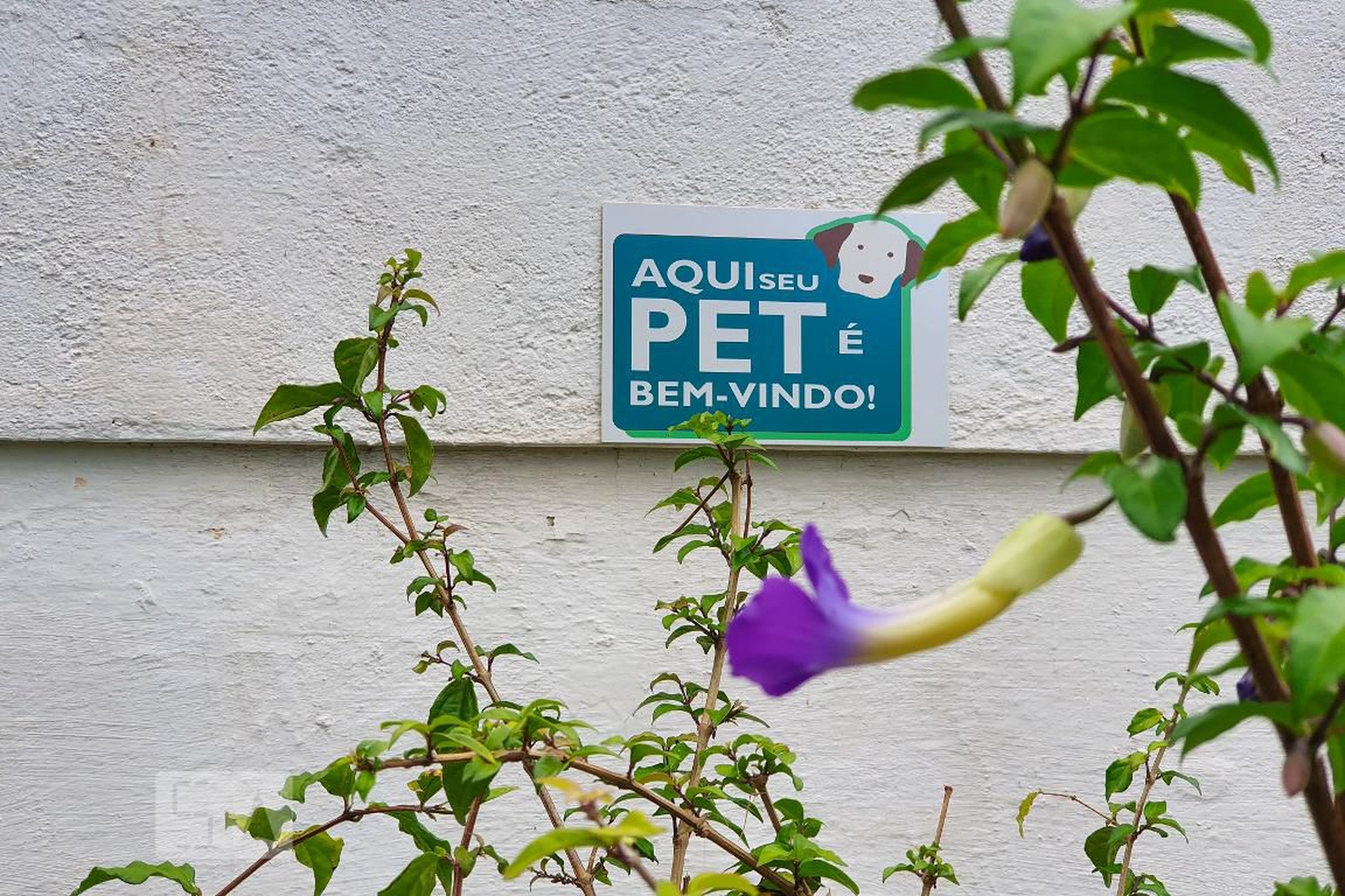 Espaço PET - Frei Galvão