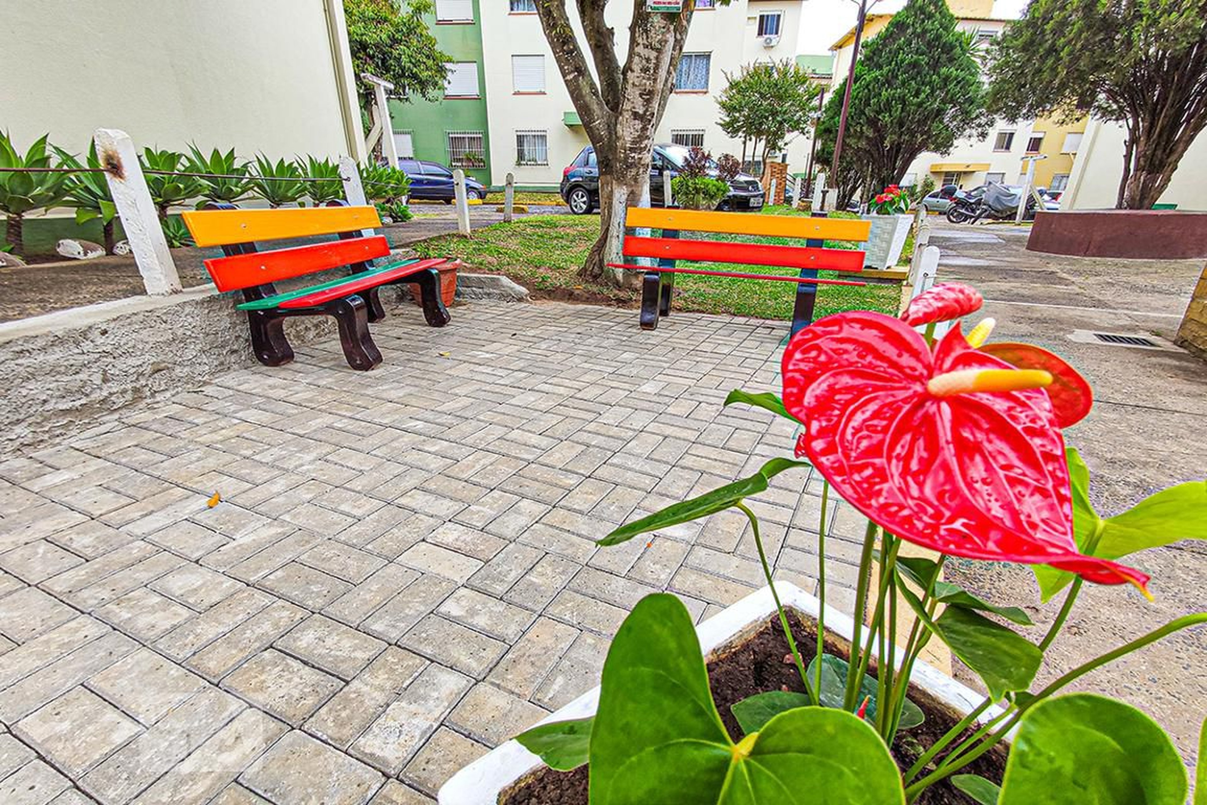 Condomínio - Vicent Killing