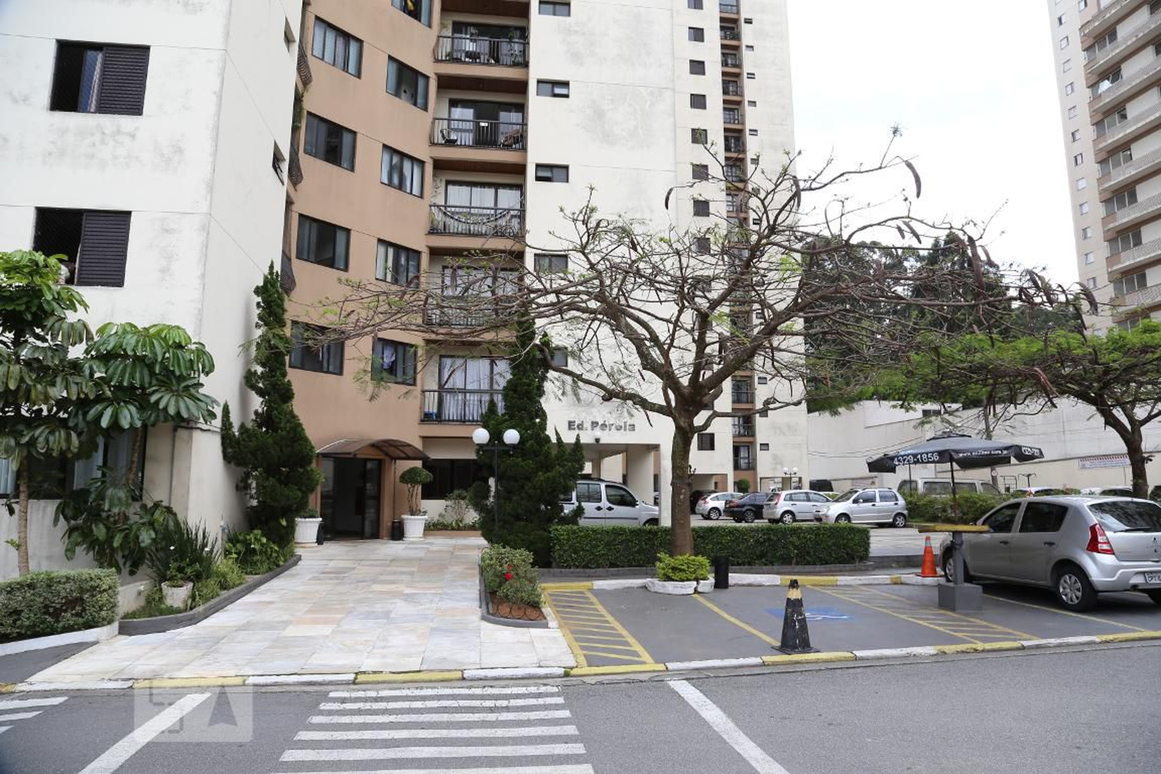 Entrada - Vida Melhor