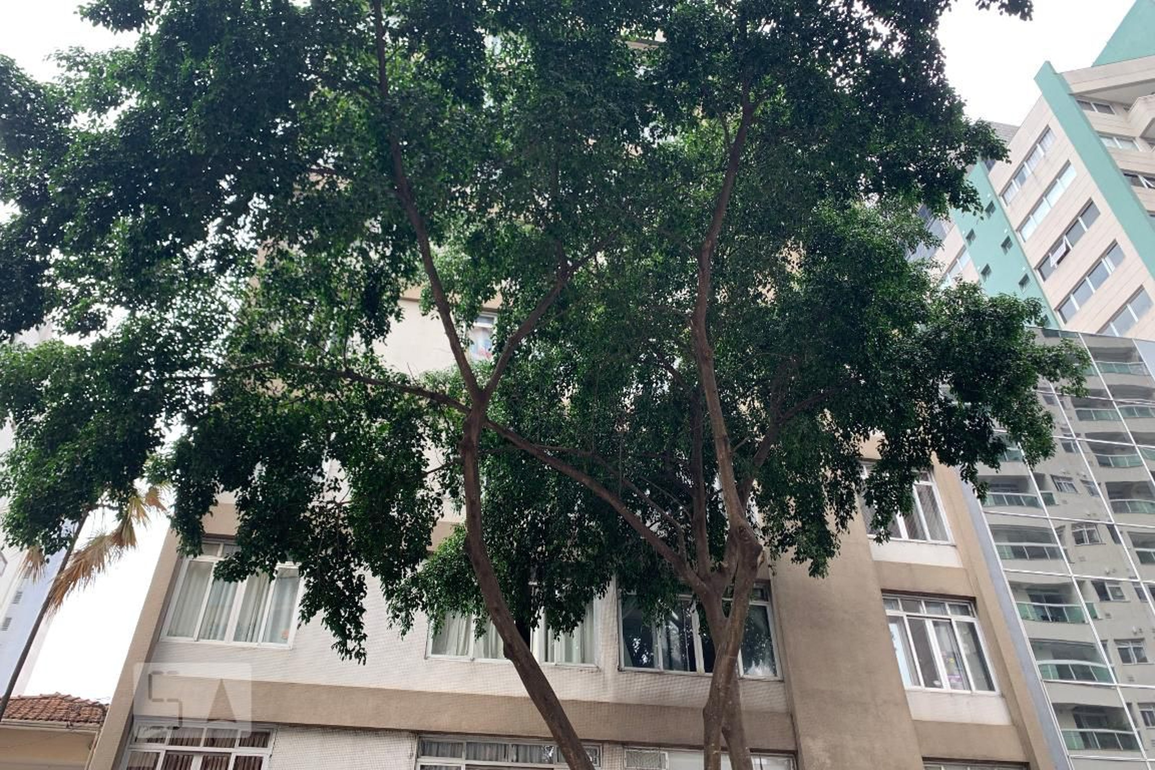 Fachada do Prédio Condomínio Nicola Renzetti