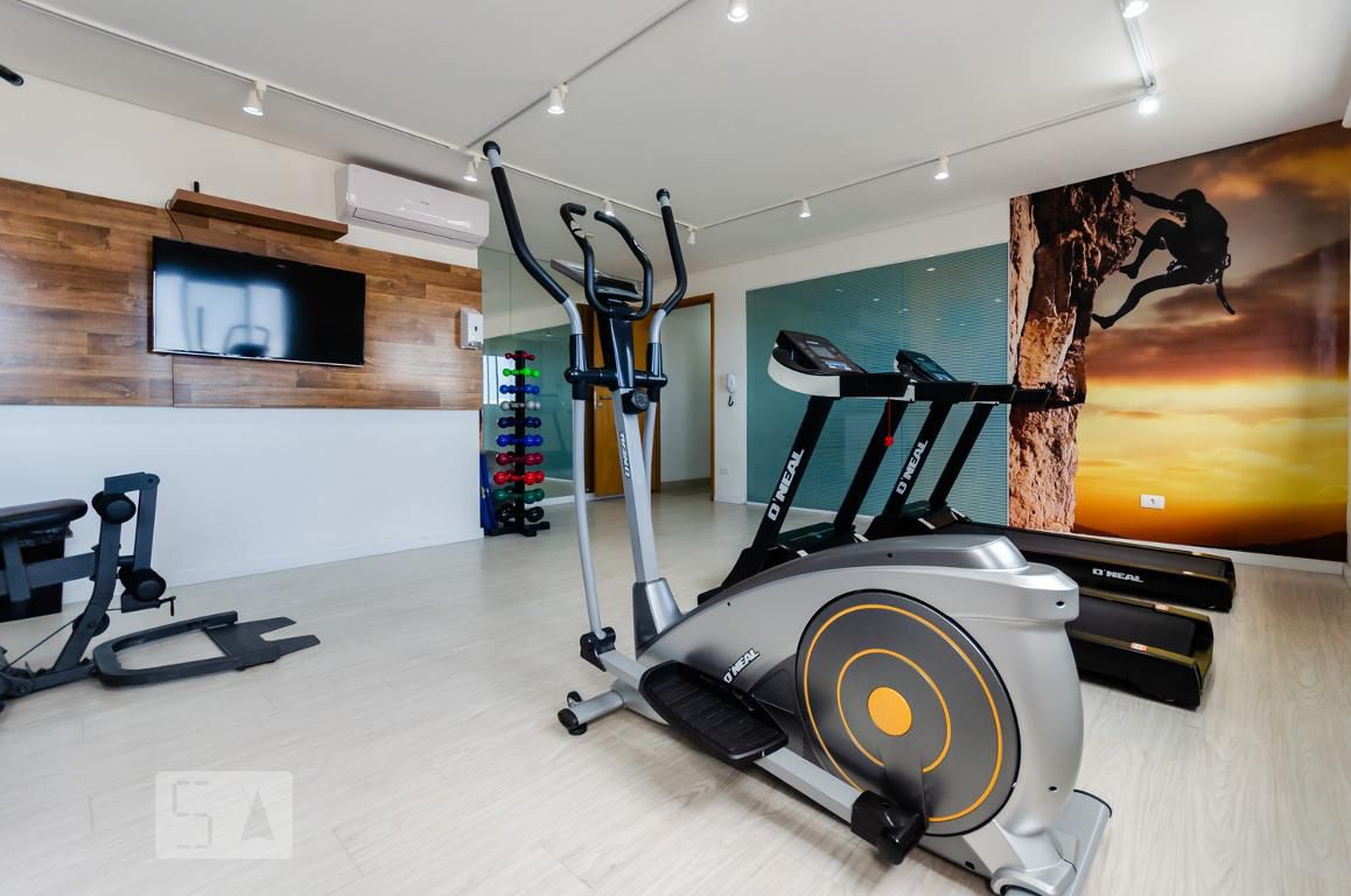 Academia - Phoenix Ana Costa