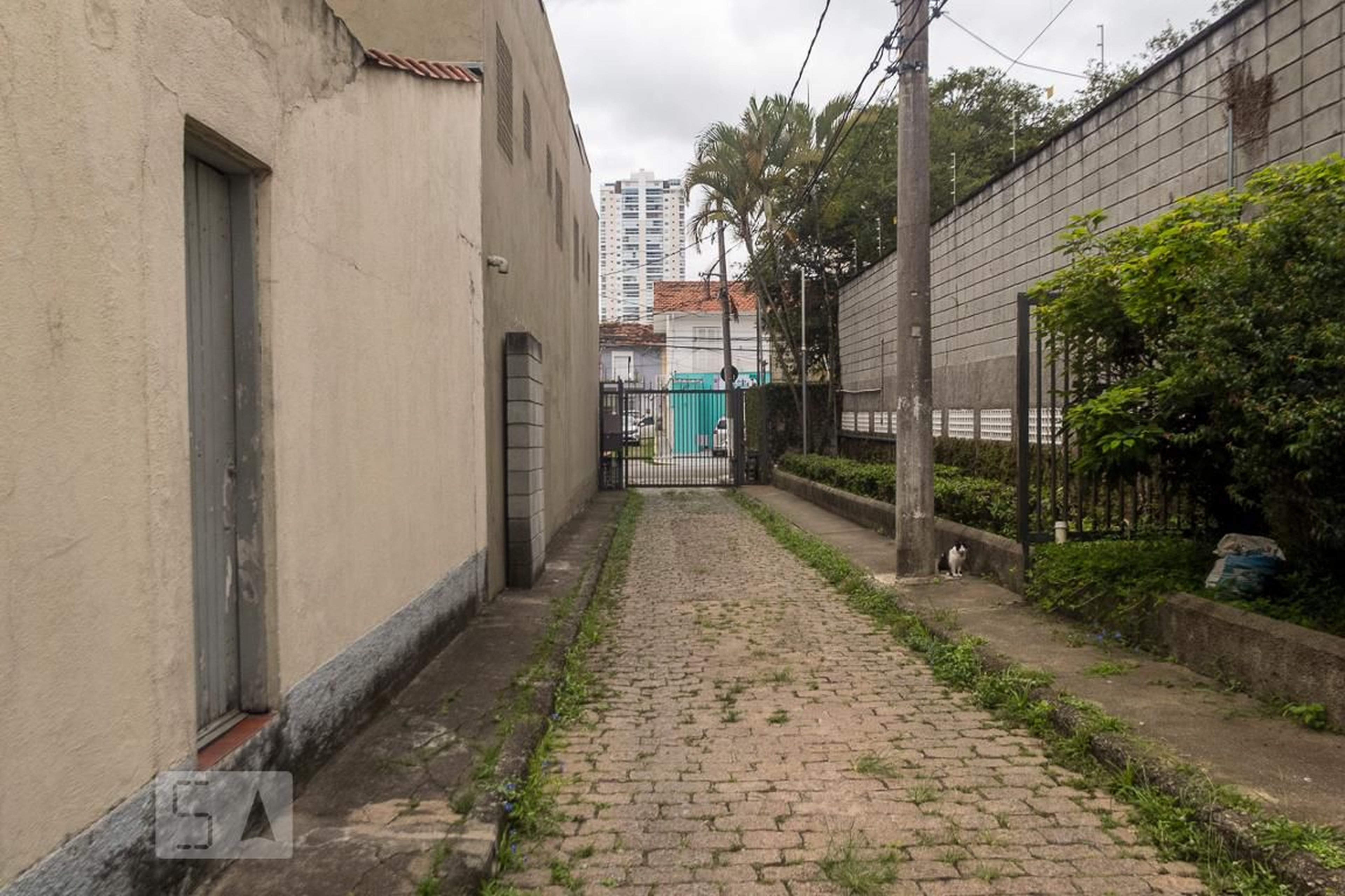 Fachada Condomínio em Rua Professor Vahia de Abreu, 437