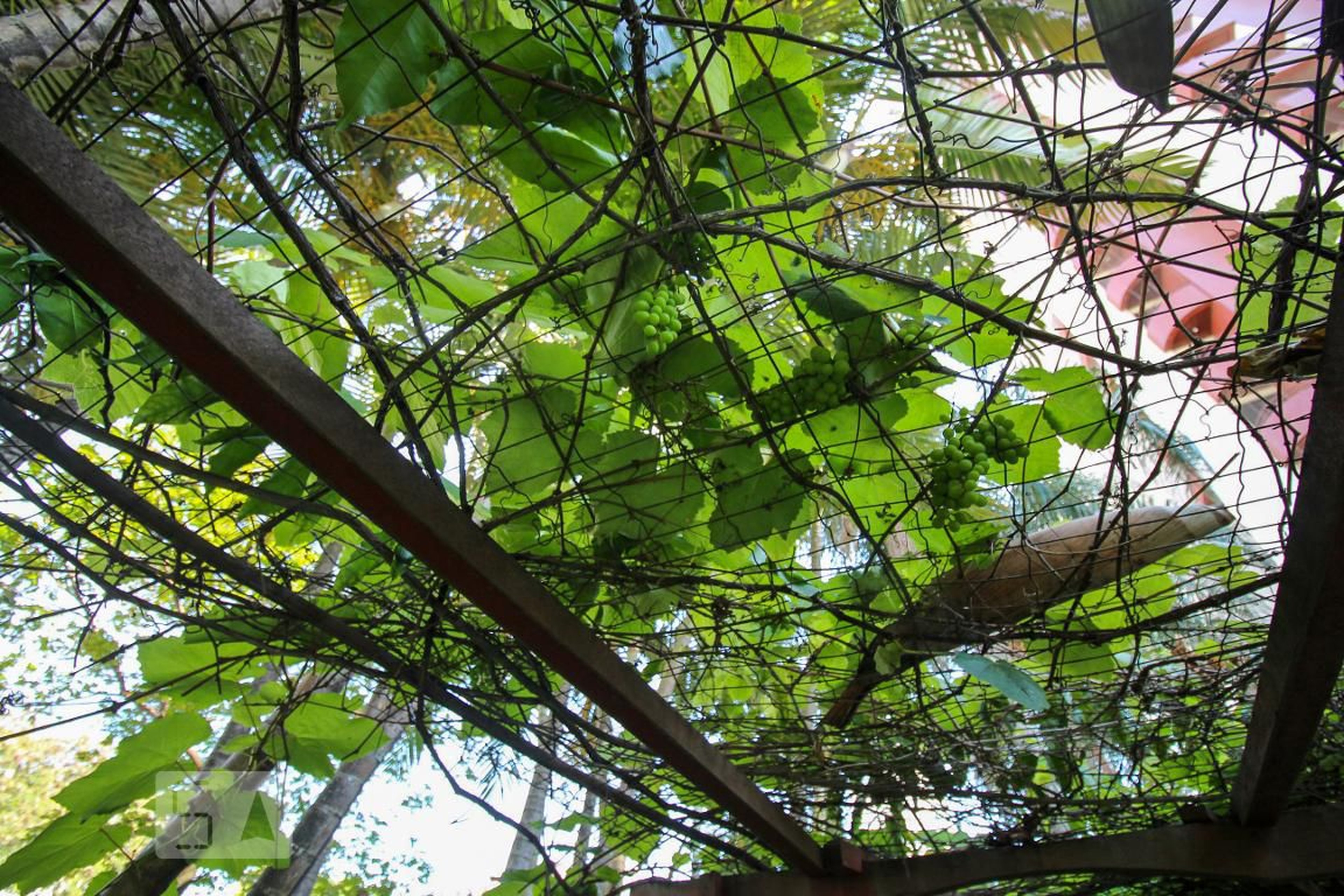 Área Externa - Barão de Cascais