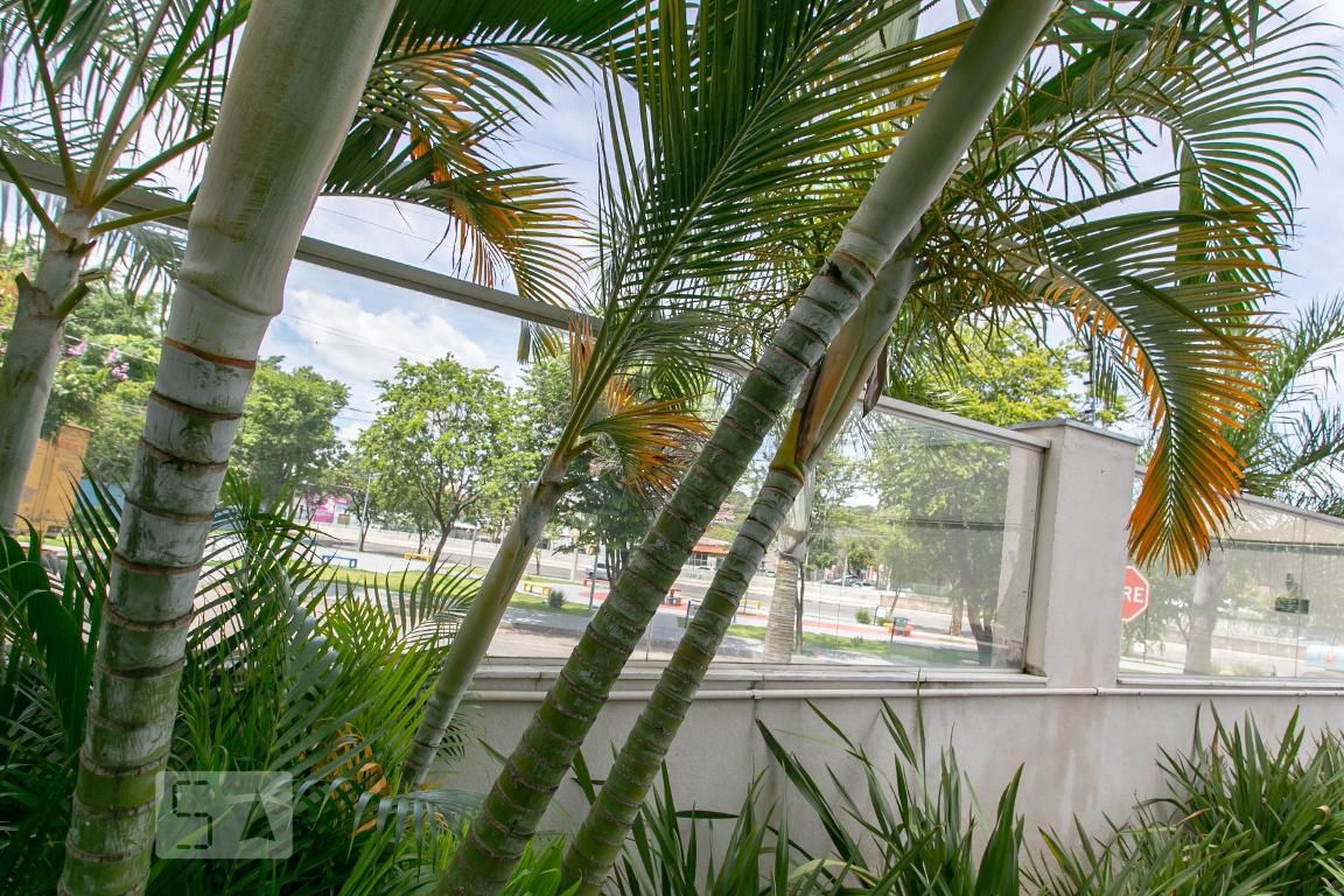 Área Externa - Vesper Castelo